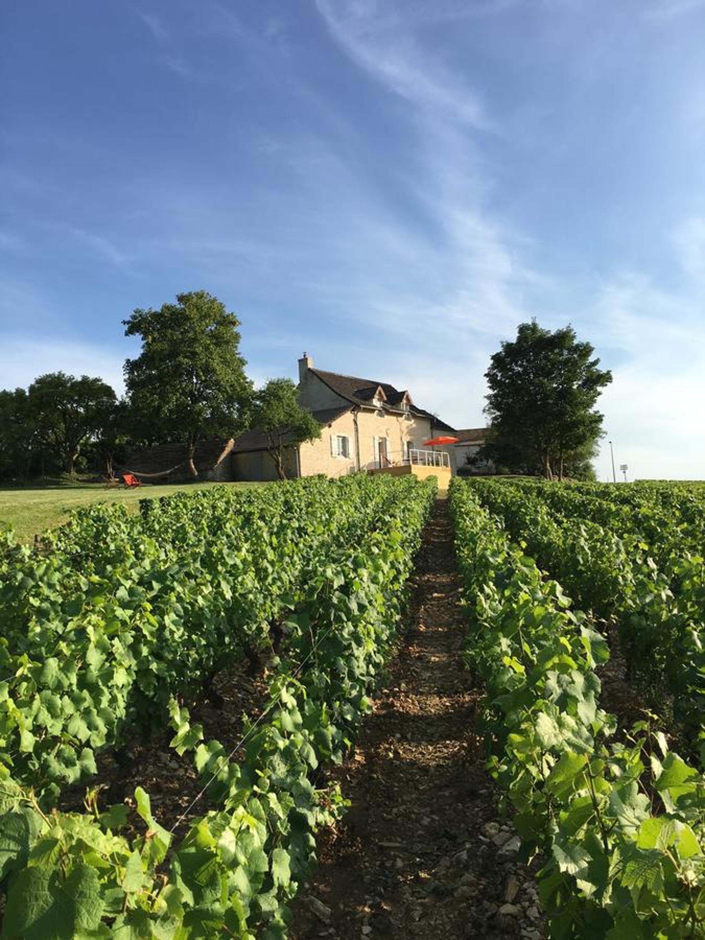 La Maison du Clos du Roi