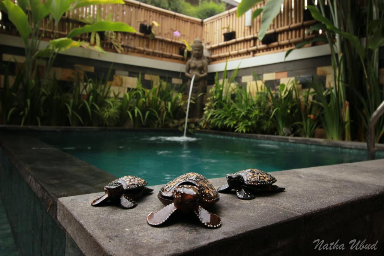 Natha Ubud Private Pool Villa by EPS