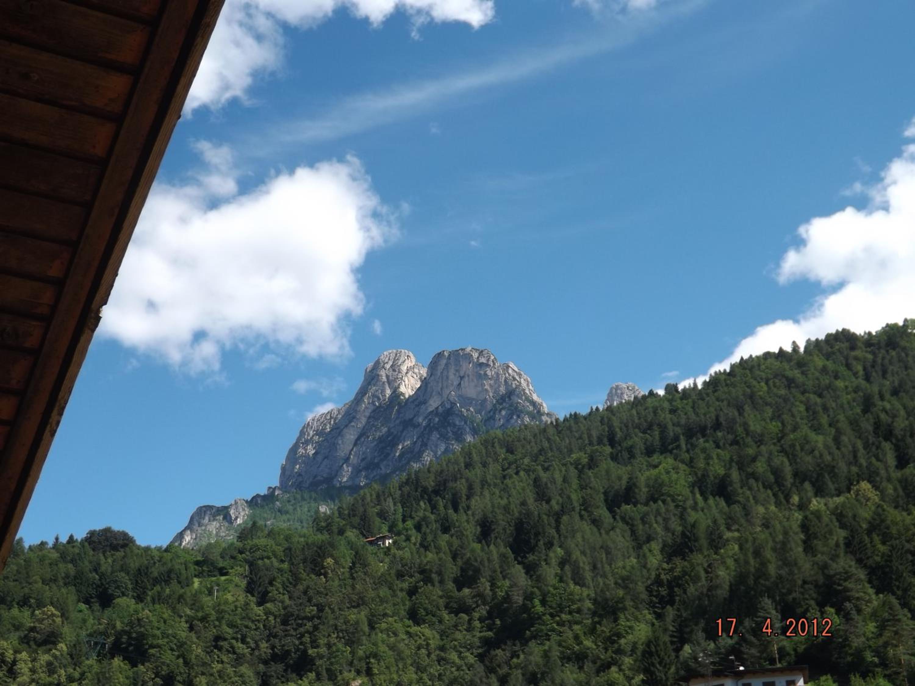 Photo 41
