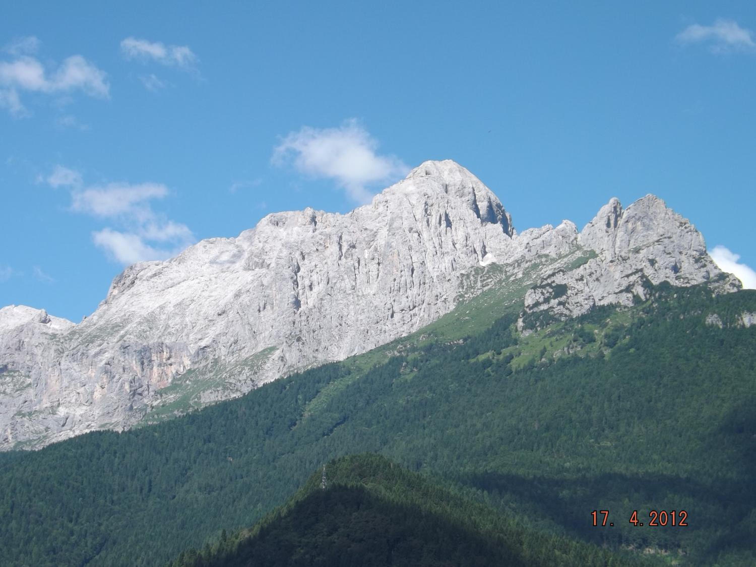 Photo 51