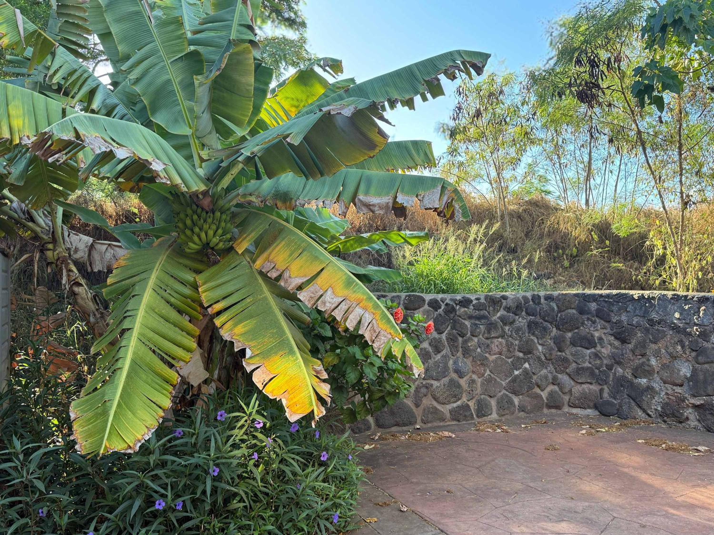 Beachfront B&B w Free Breakfast, AC & Sunset View
