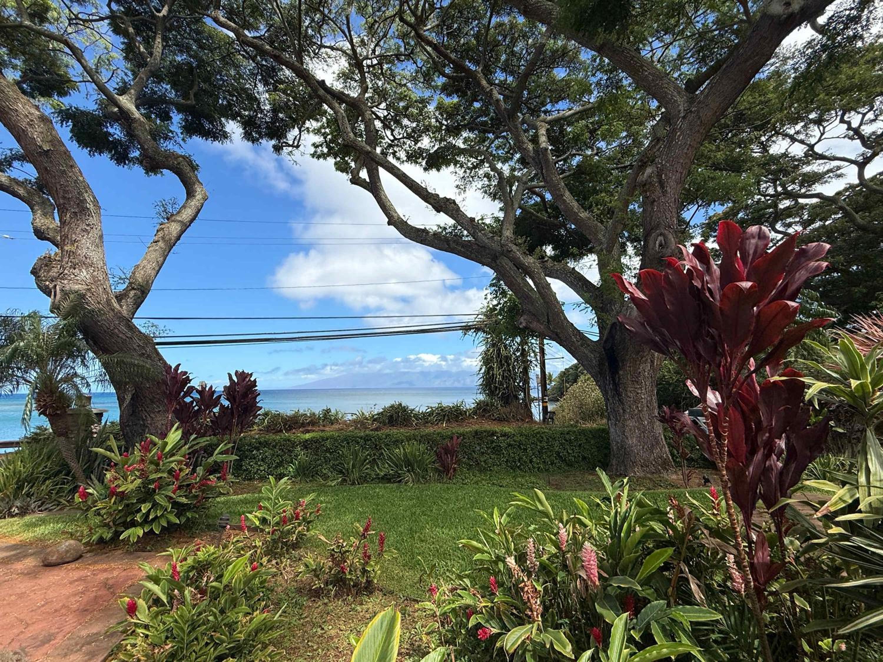 Ocean-Facing Maui B&B Room - Breakfast, BBQ & AC