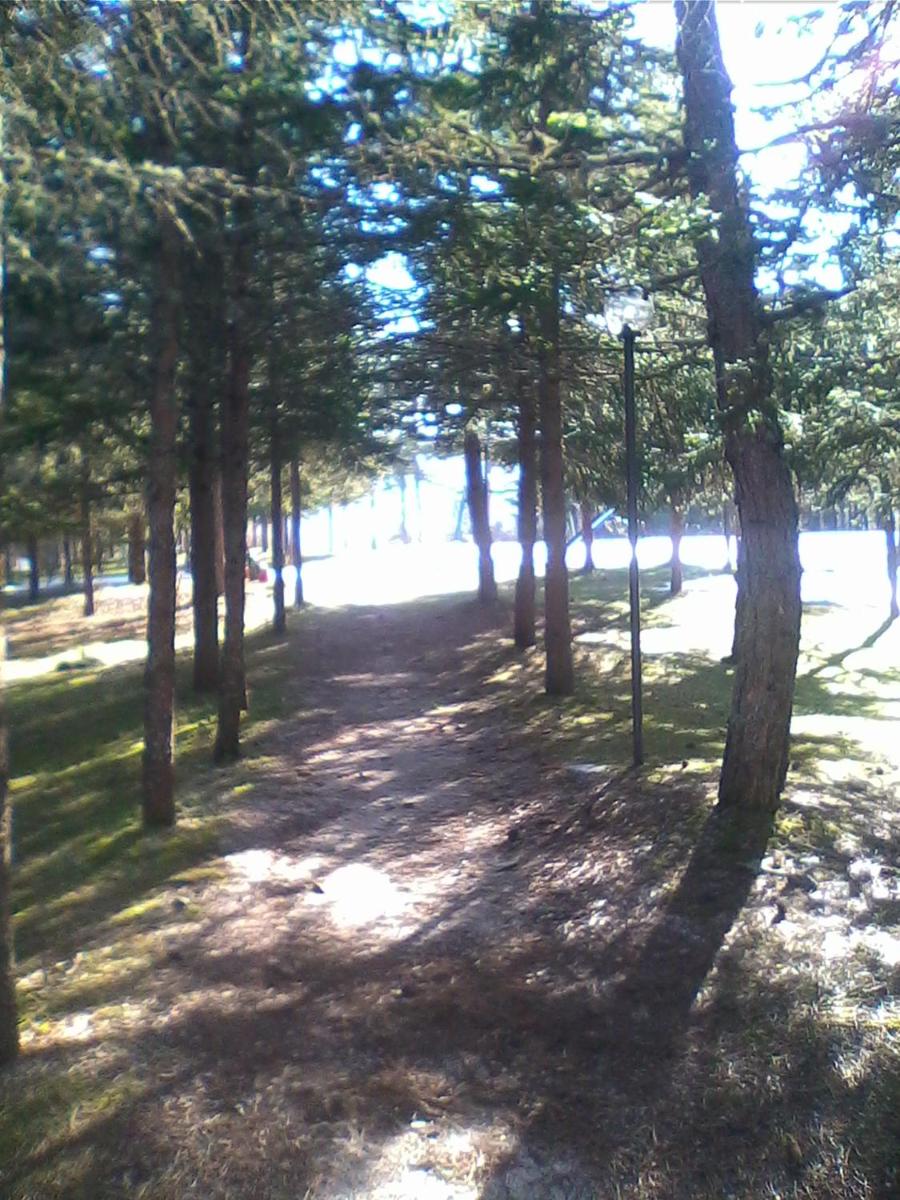 Photo 29