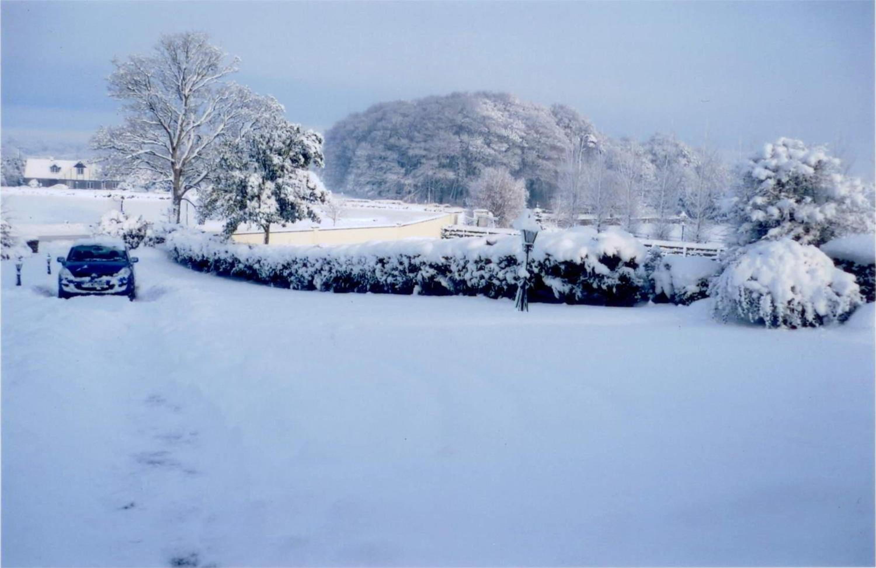 Armcashel B&B