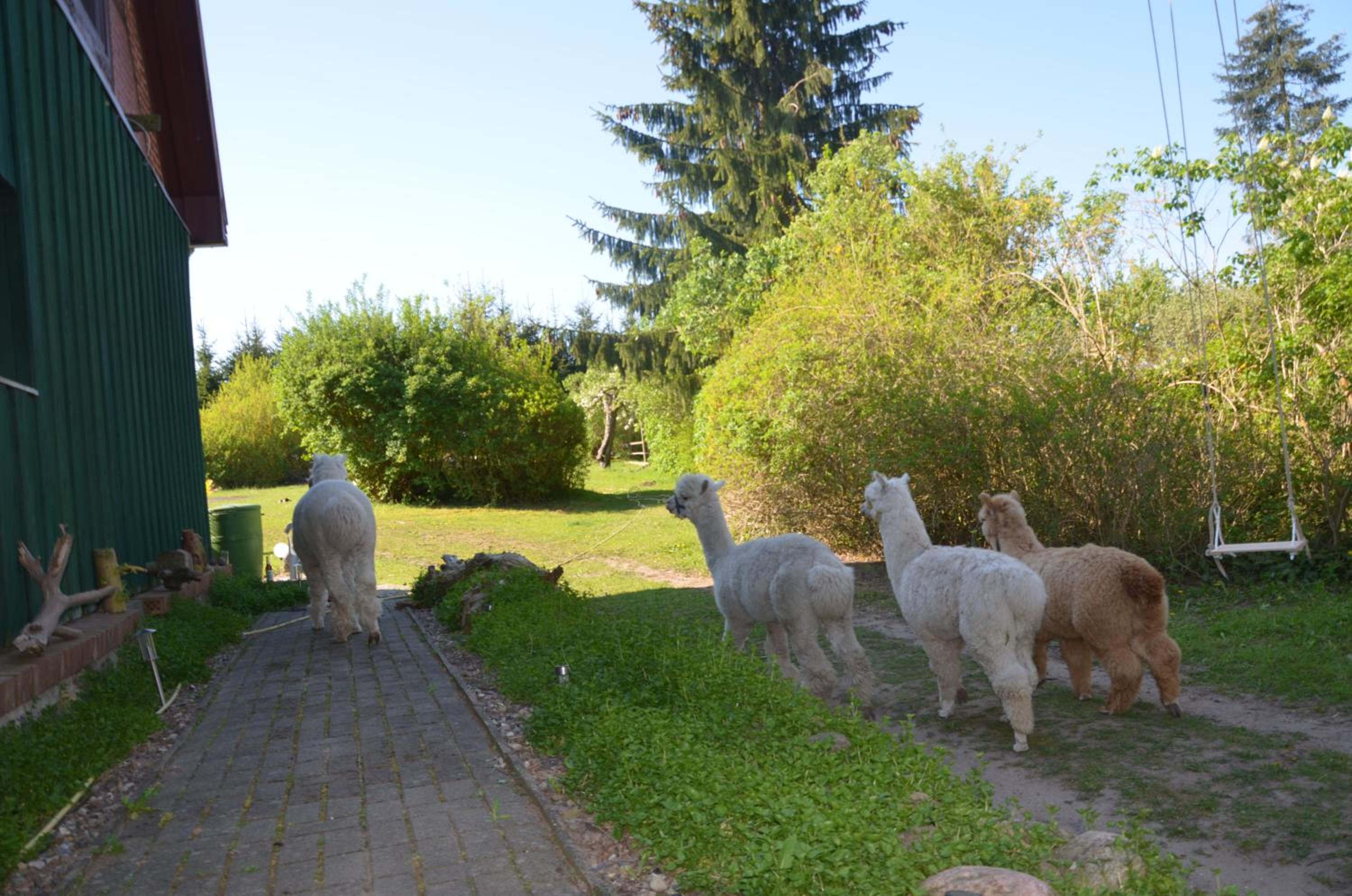 Photo 25