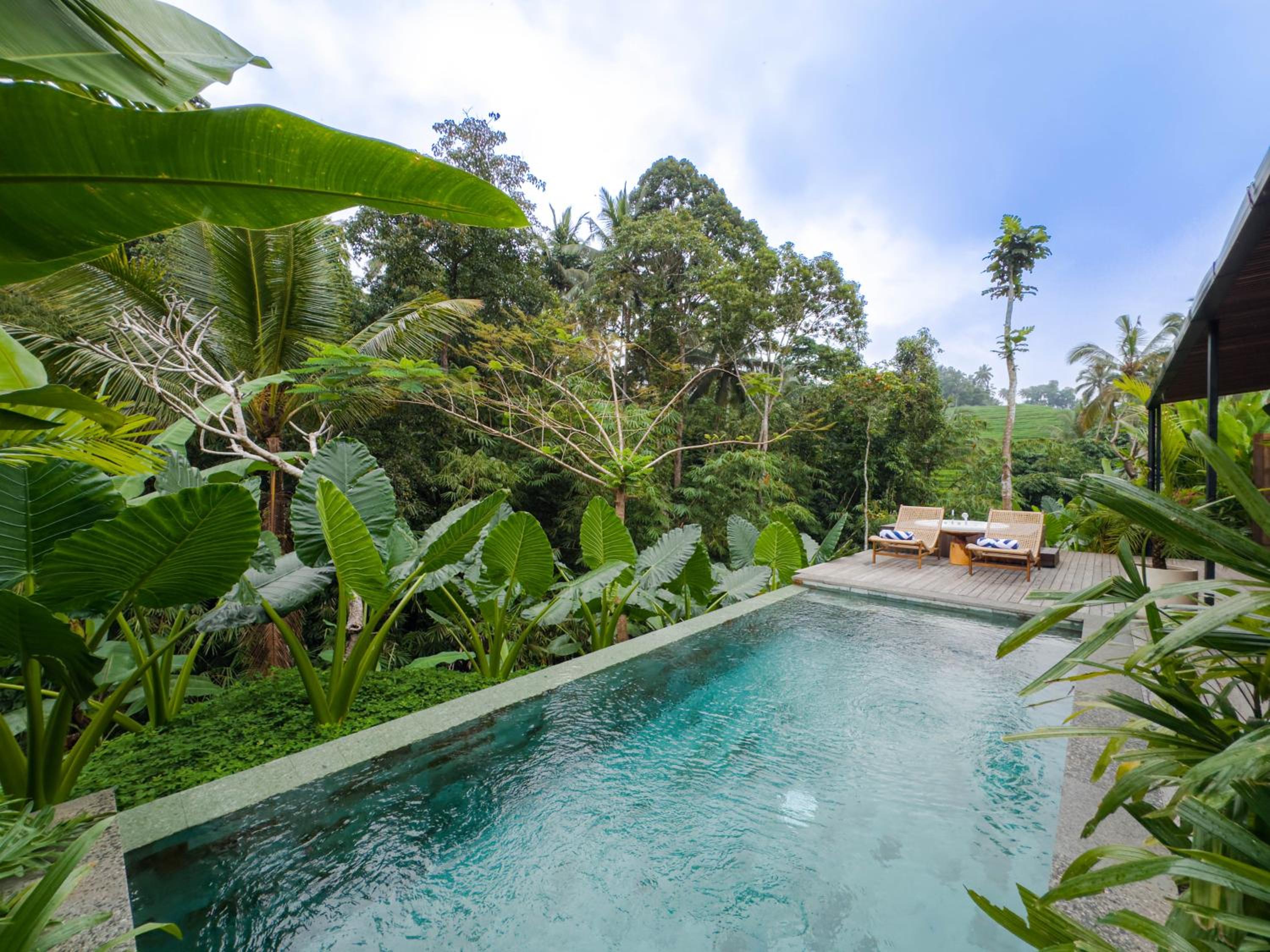 Two Bedroom Private Pool Villa Batukaru
