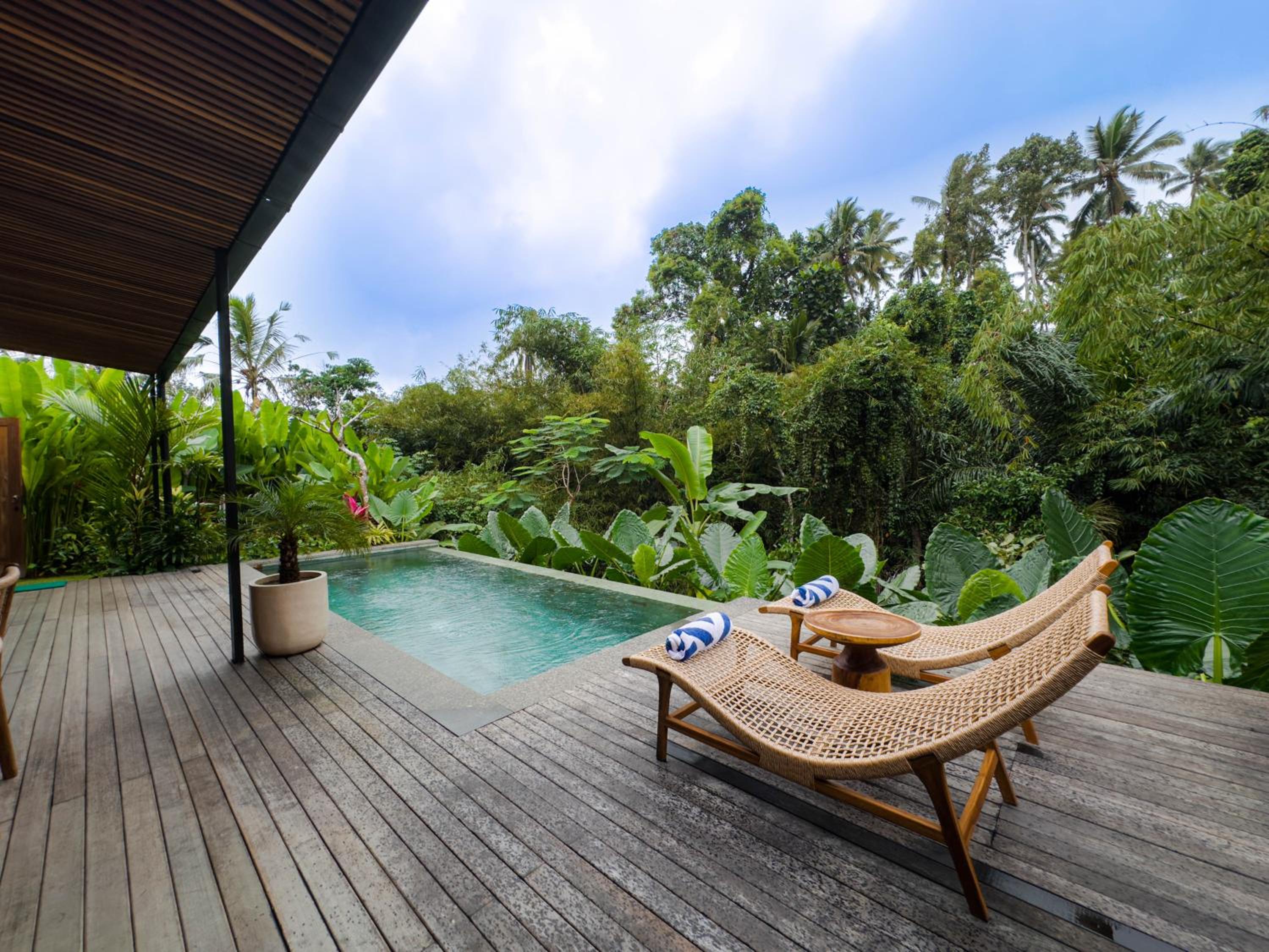 Two Bedroom Private Pool Villa Batukaru