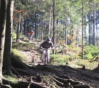 Wellness Pension Iveta