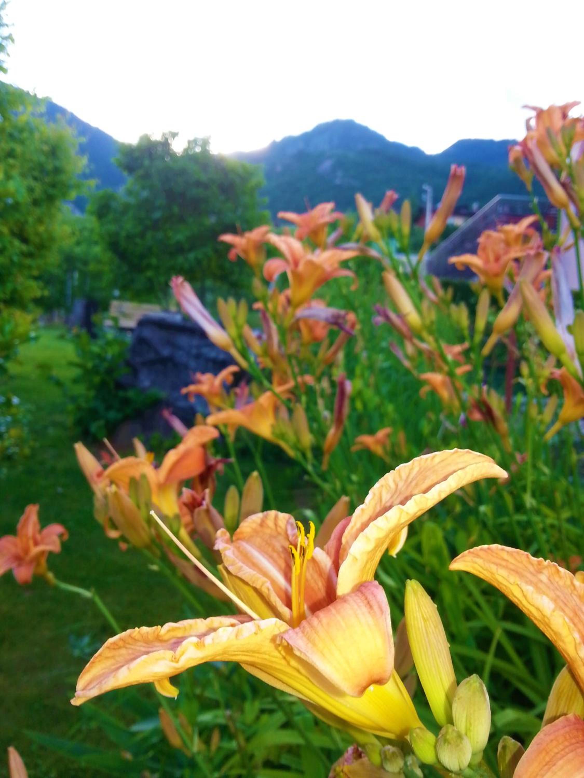 Photo 47
