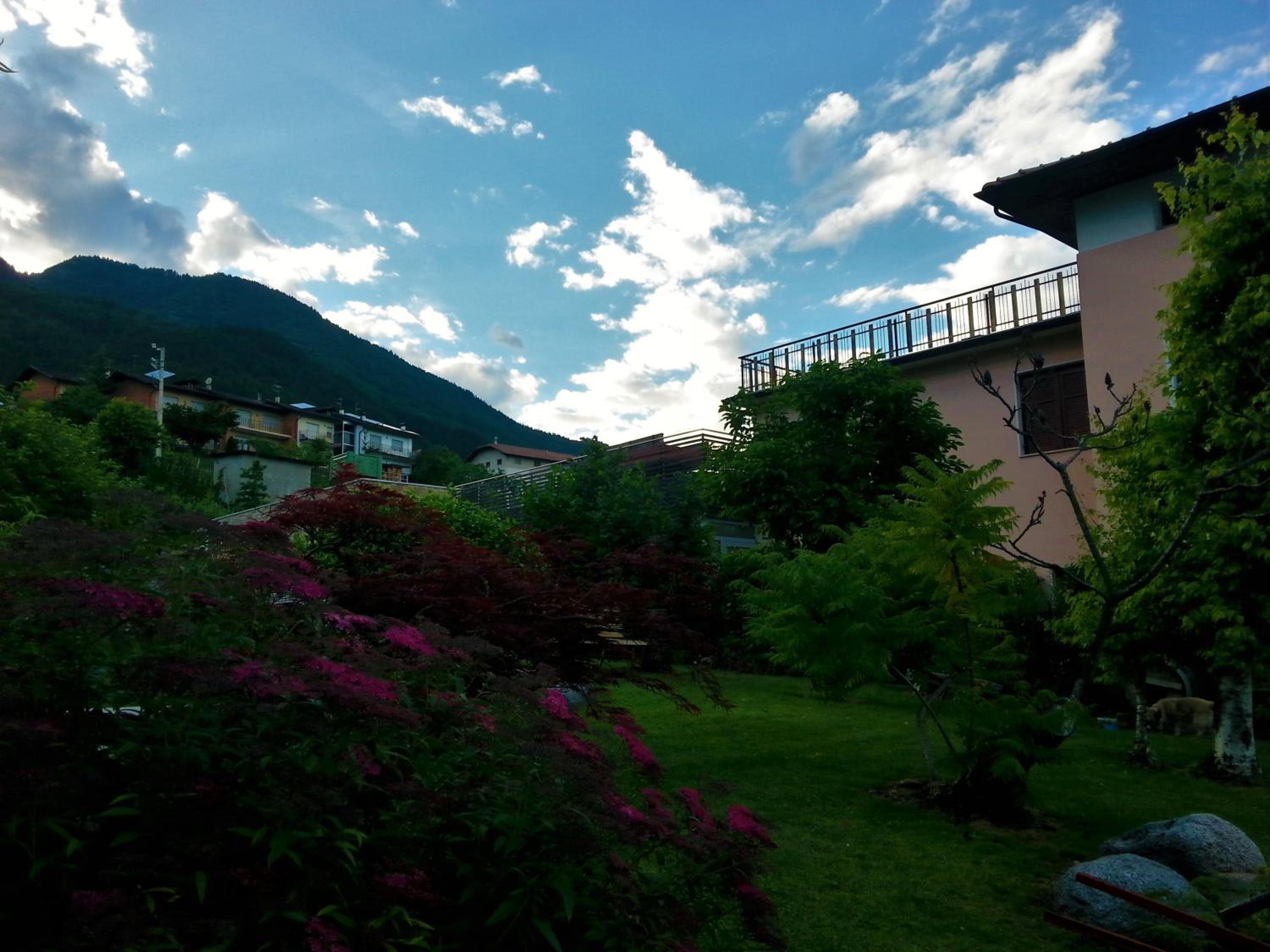 Photo 48