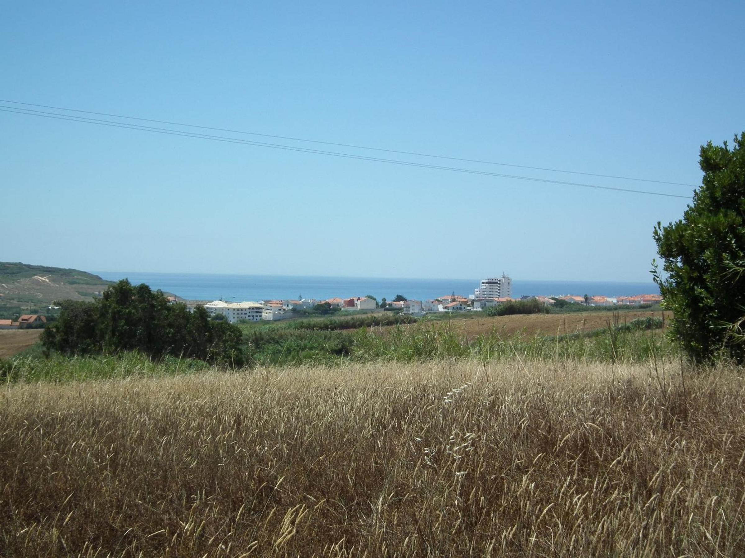 Photo 35