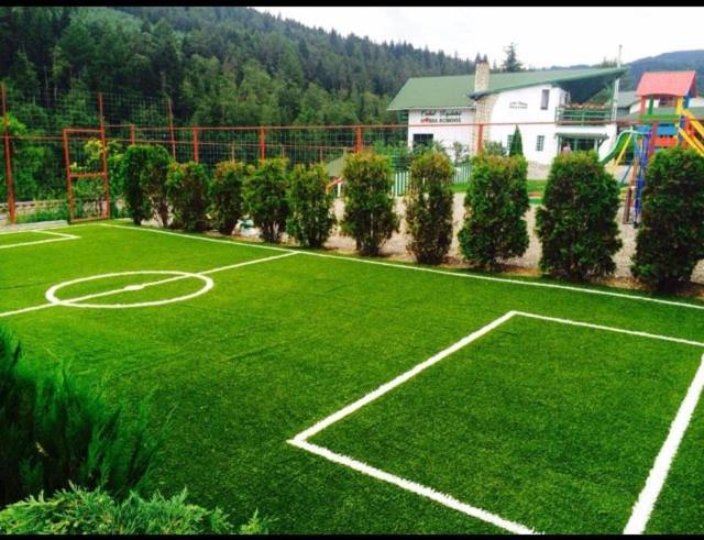 Vila Horia Bradet view 2