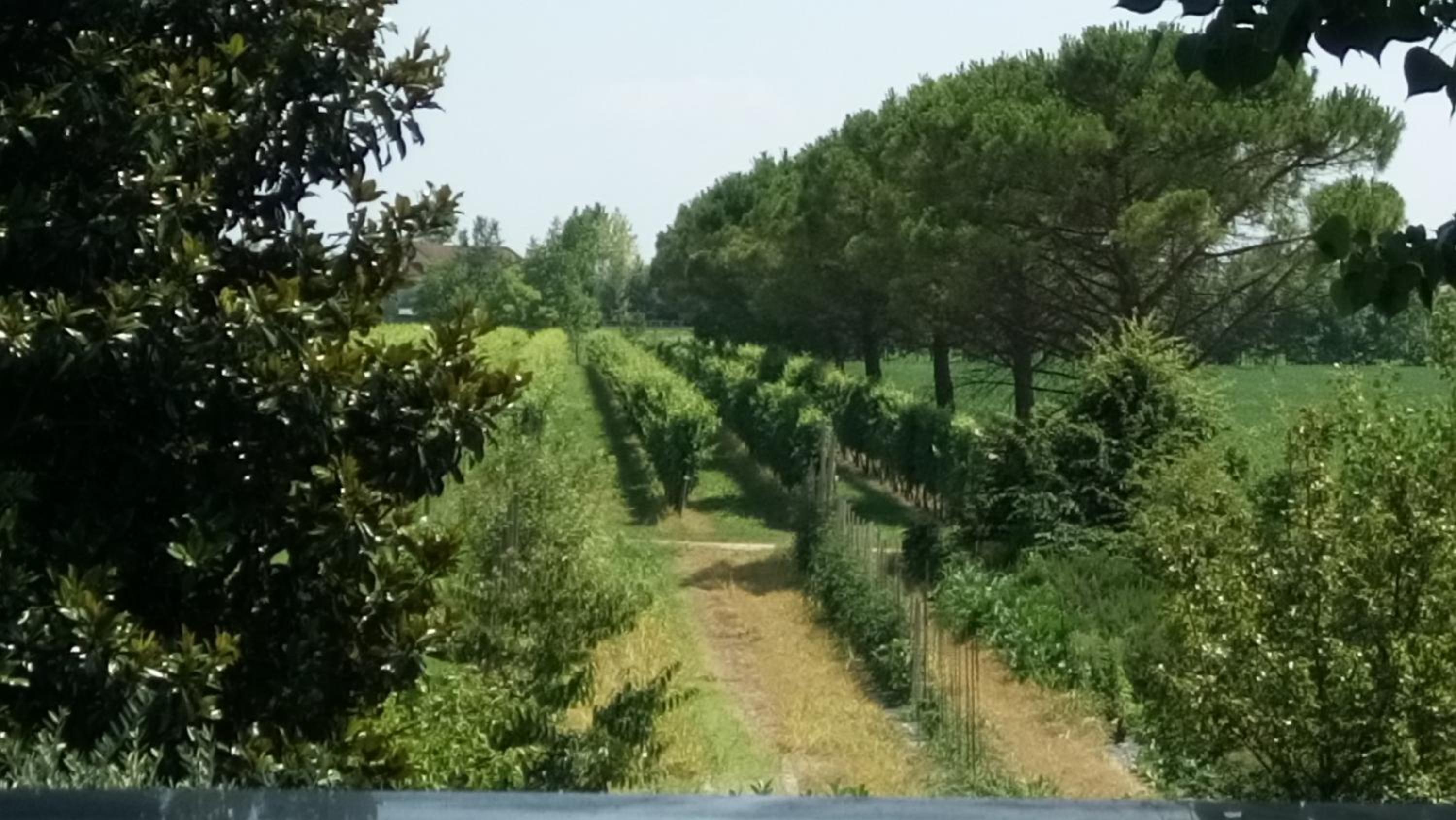 La Pioppa Agriturismo