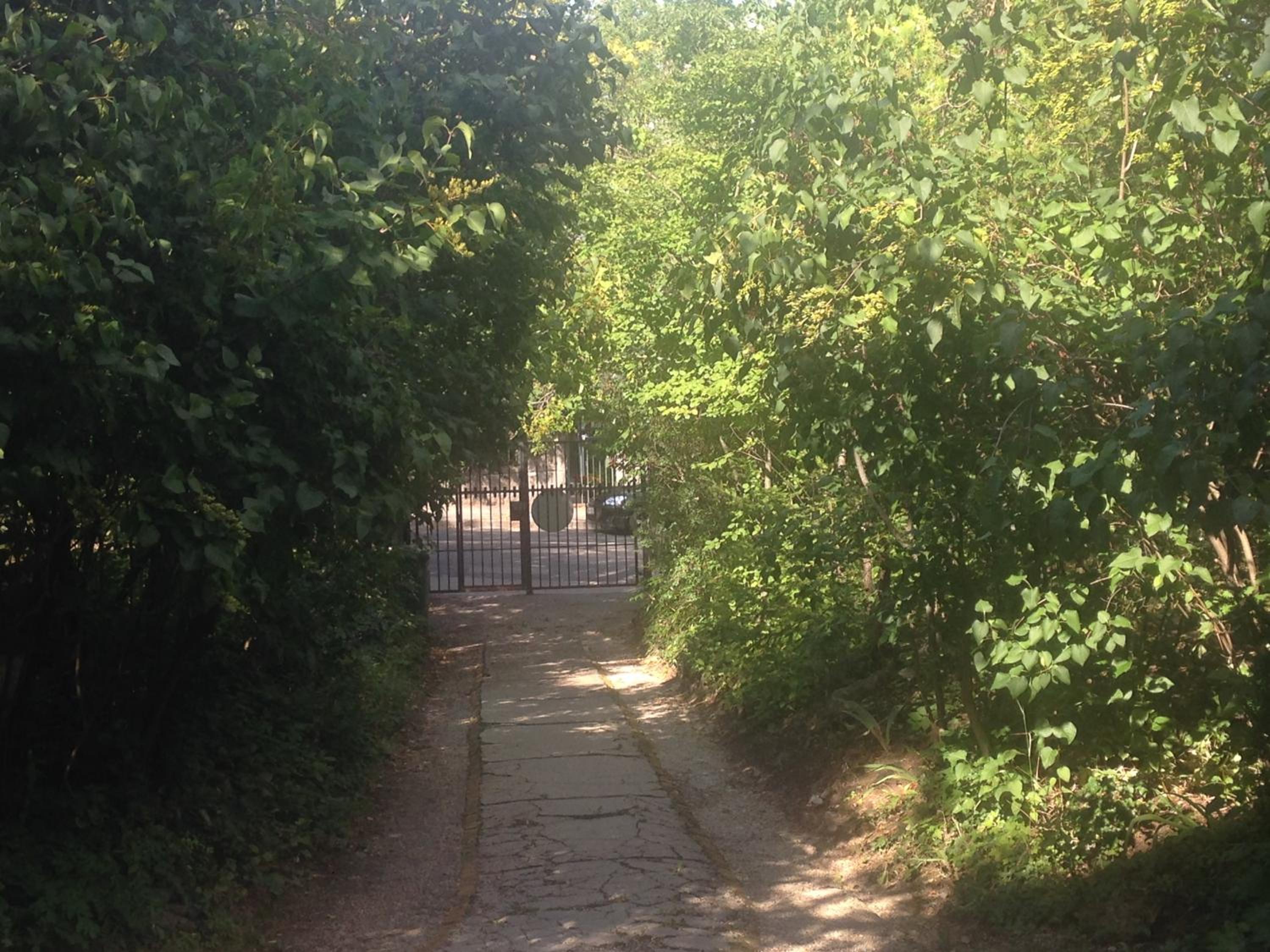 Photo 8