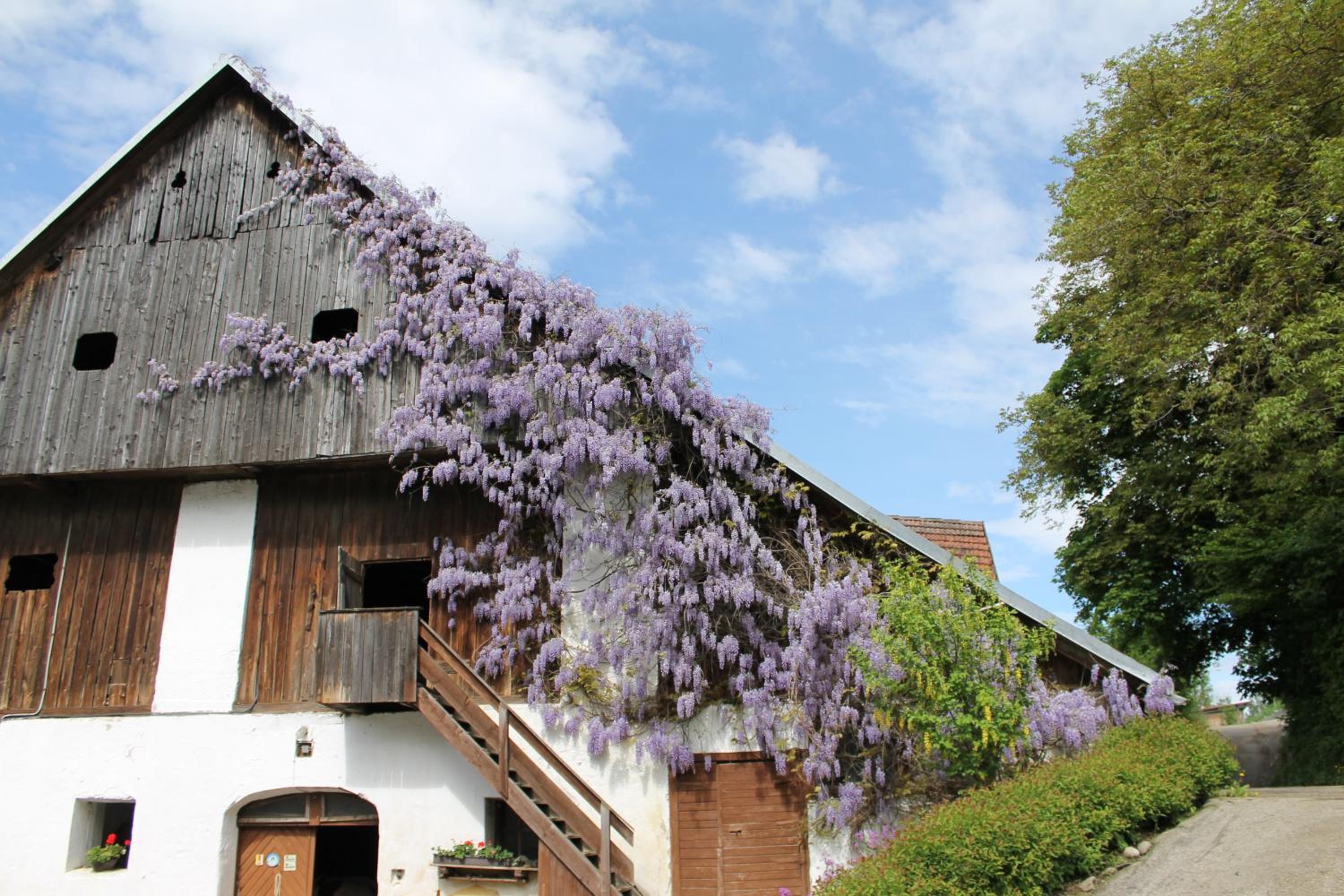 Pension Neuhof