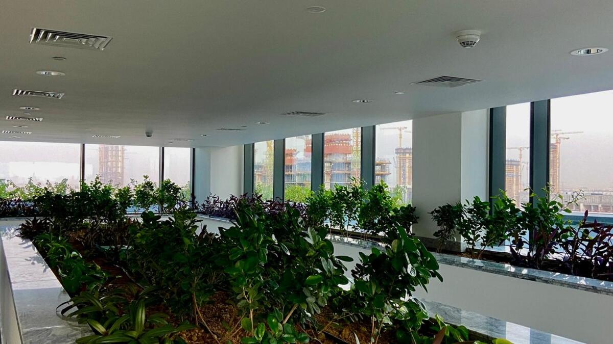 Elegant 1BR with Bedroom Balcony - Sobha Crest C