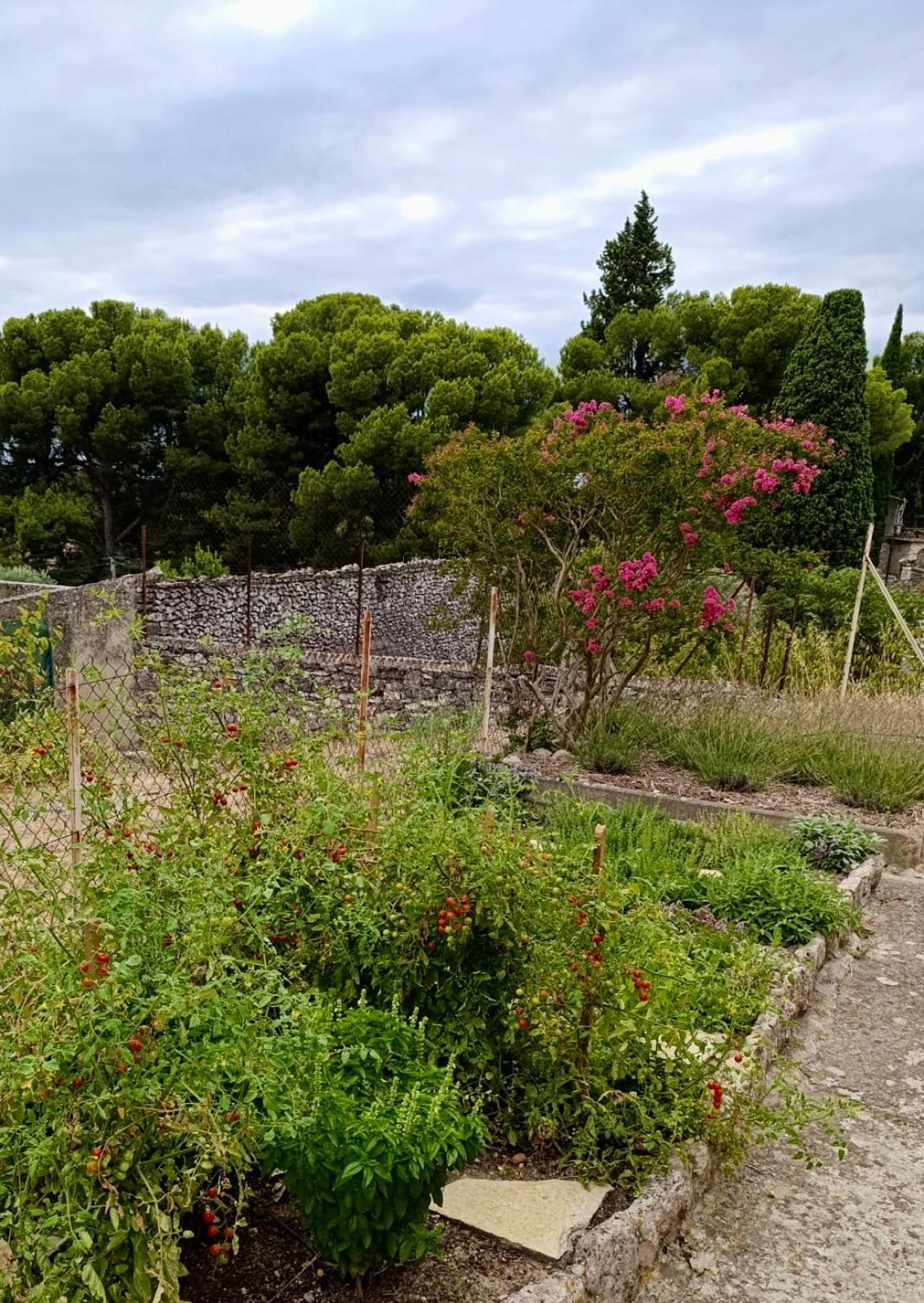 Escapade entre amis en Provence, 4 chambres, terrasse & jardin, proche Avignon
