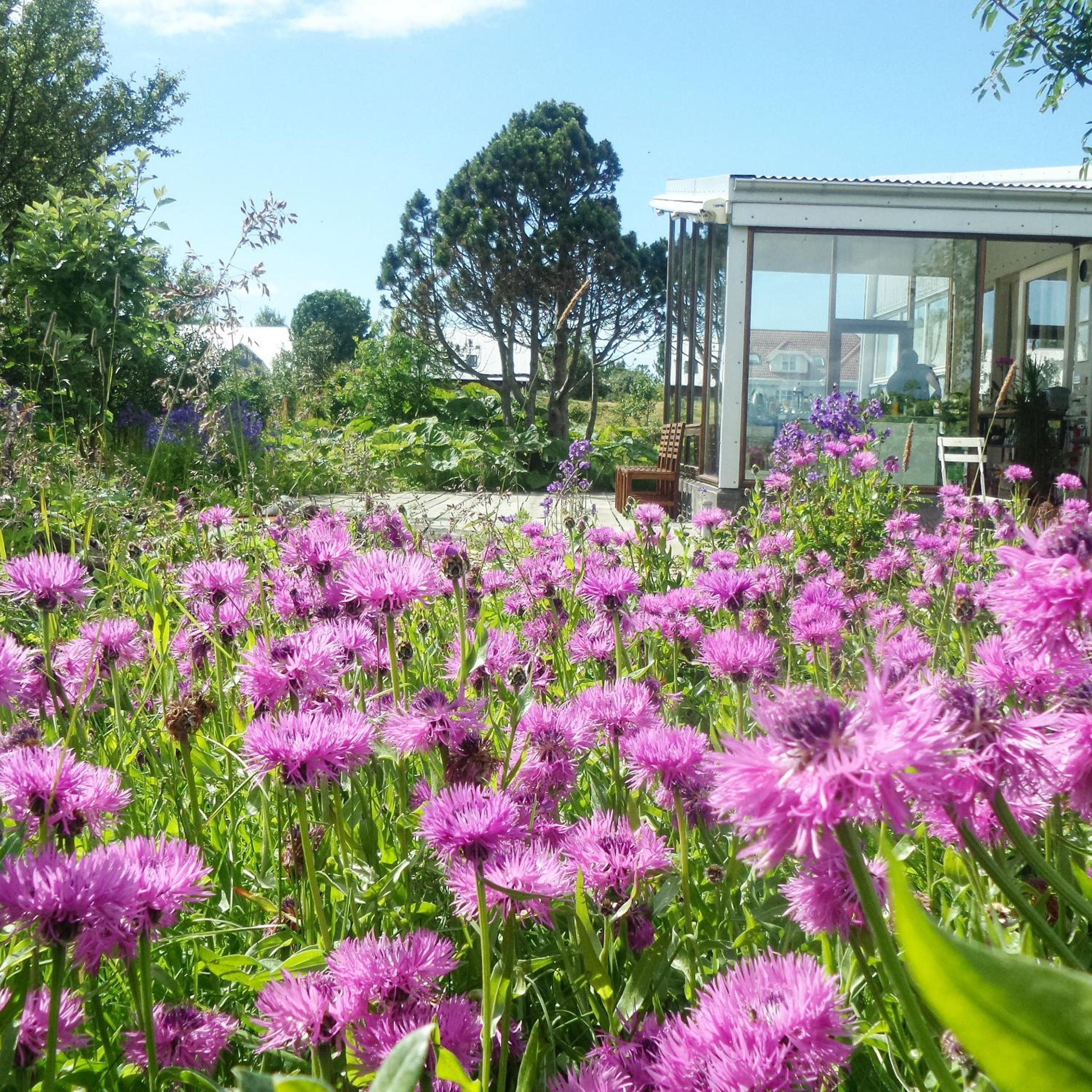 Eyvindarholt Guesthouse