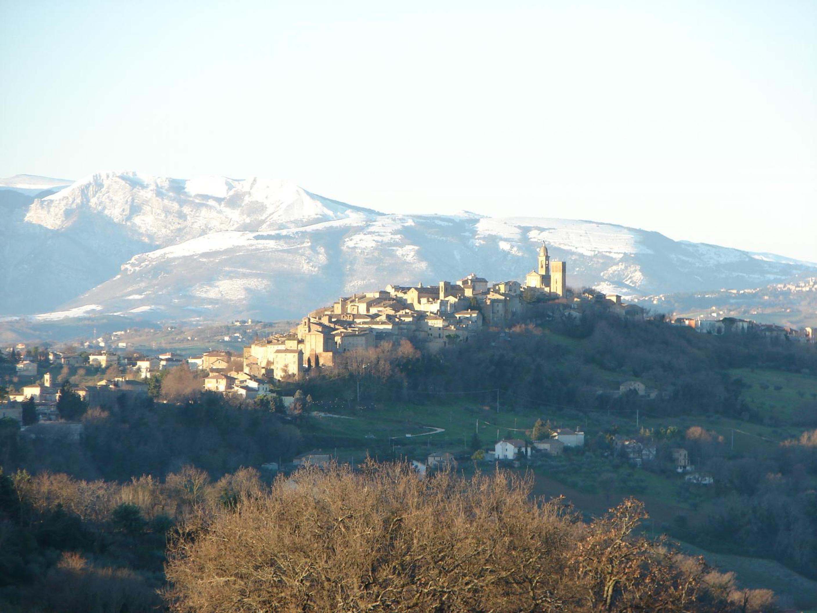 Photo 11