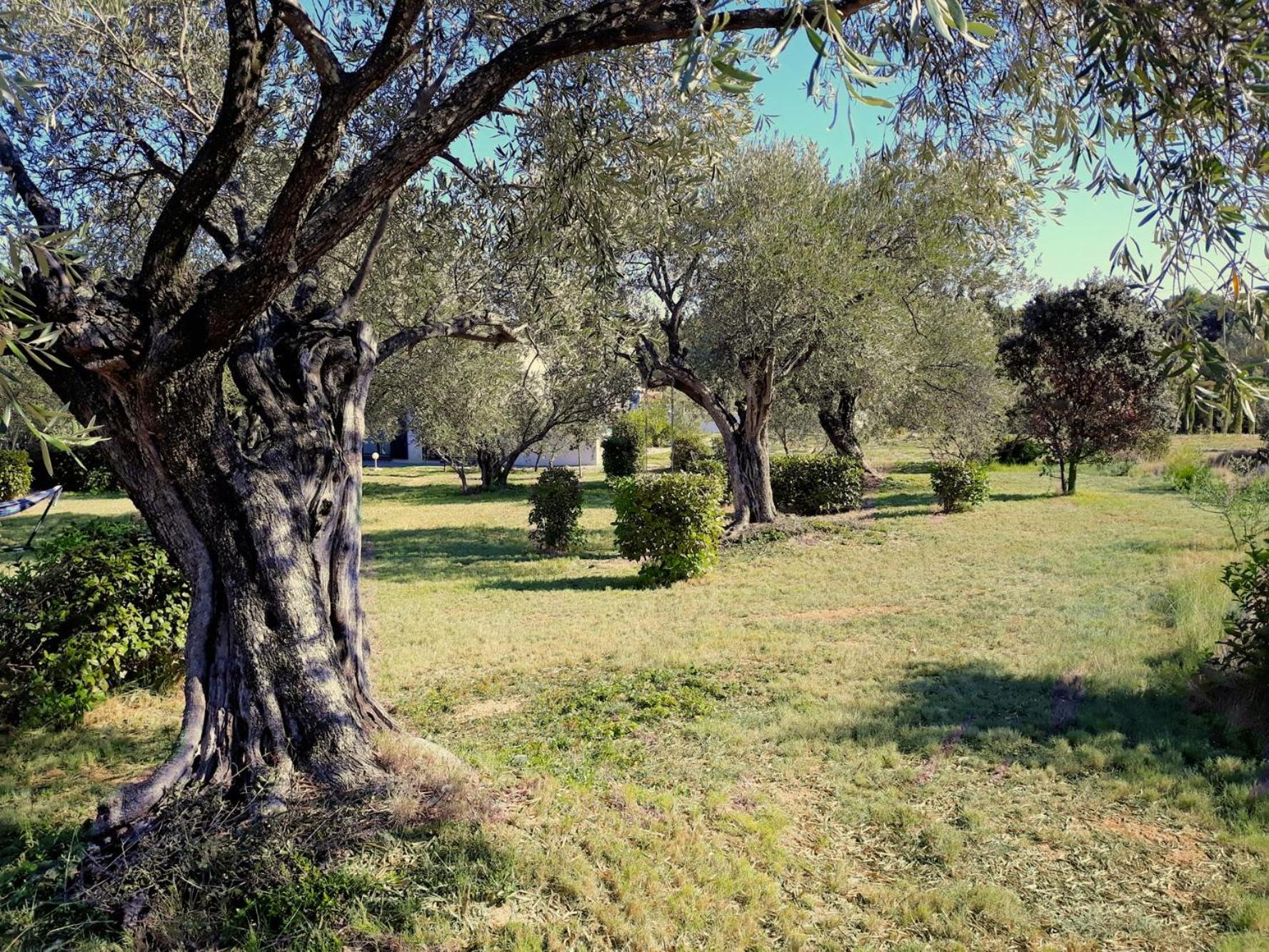Photo 32