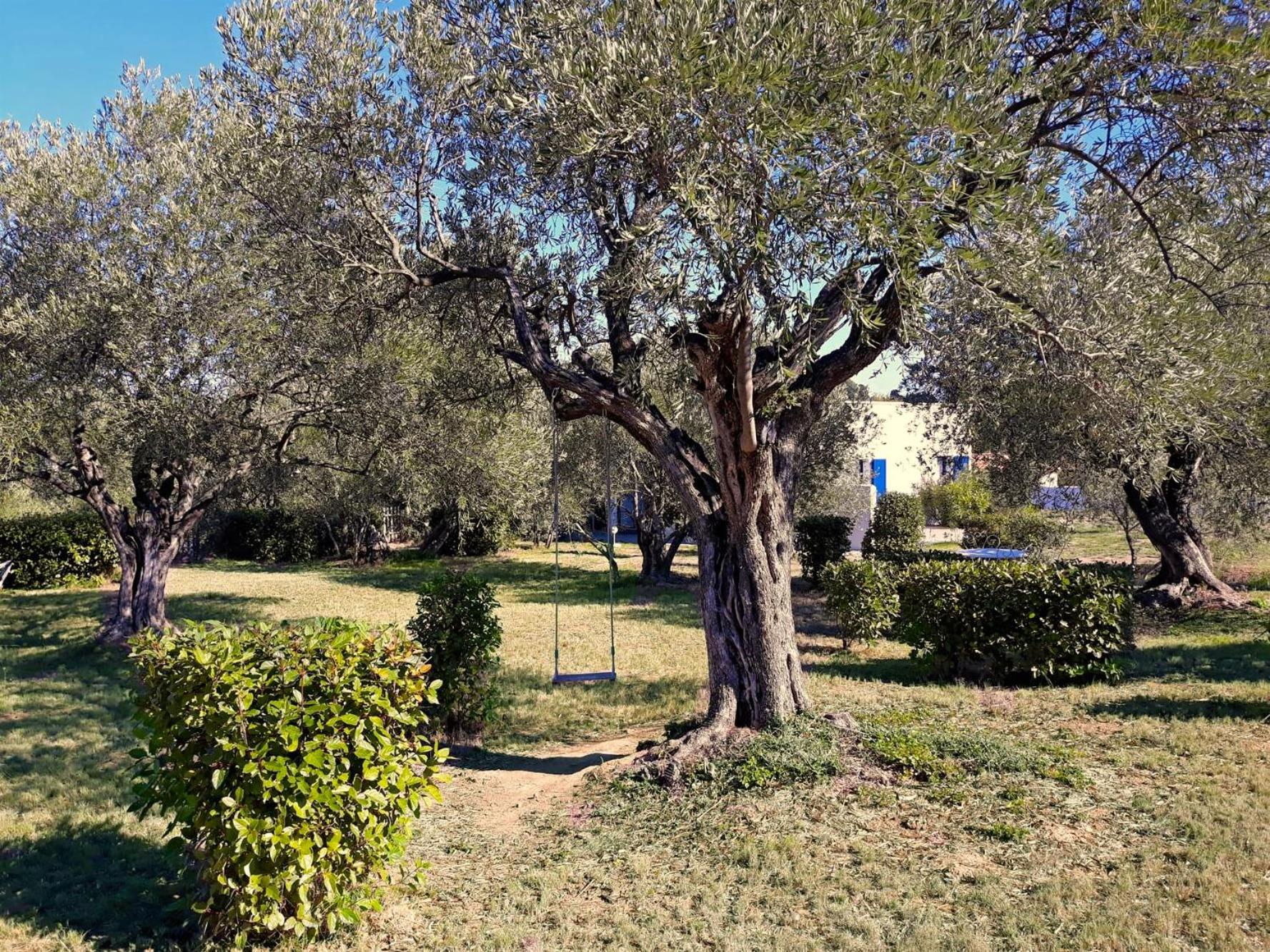 Photo 31