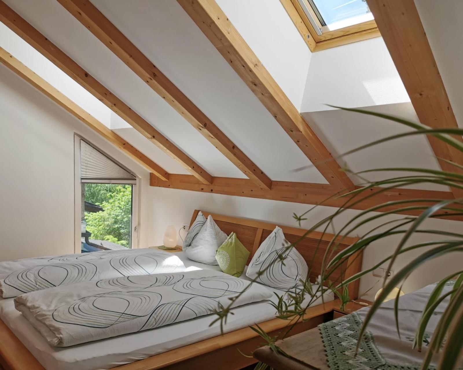 Apartment Schmetterling
