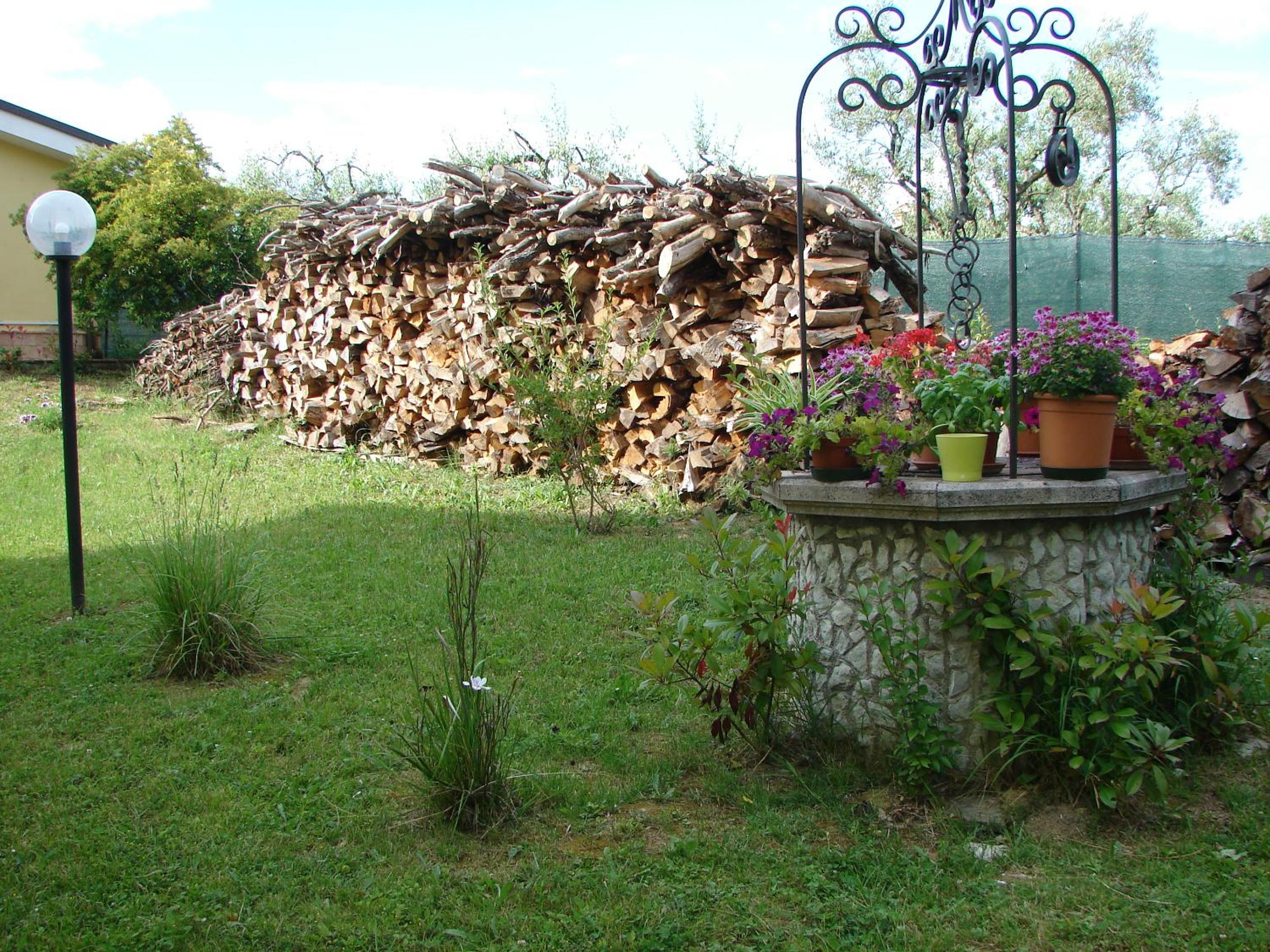 Photo 24