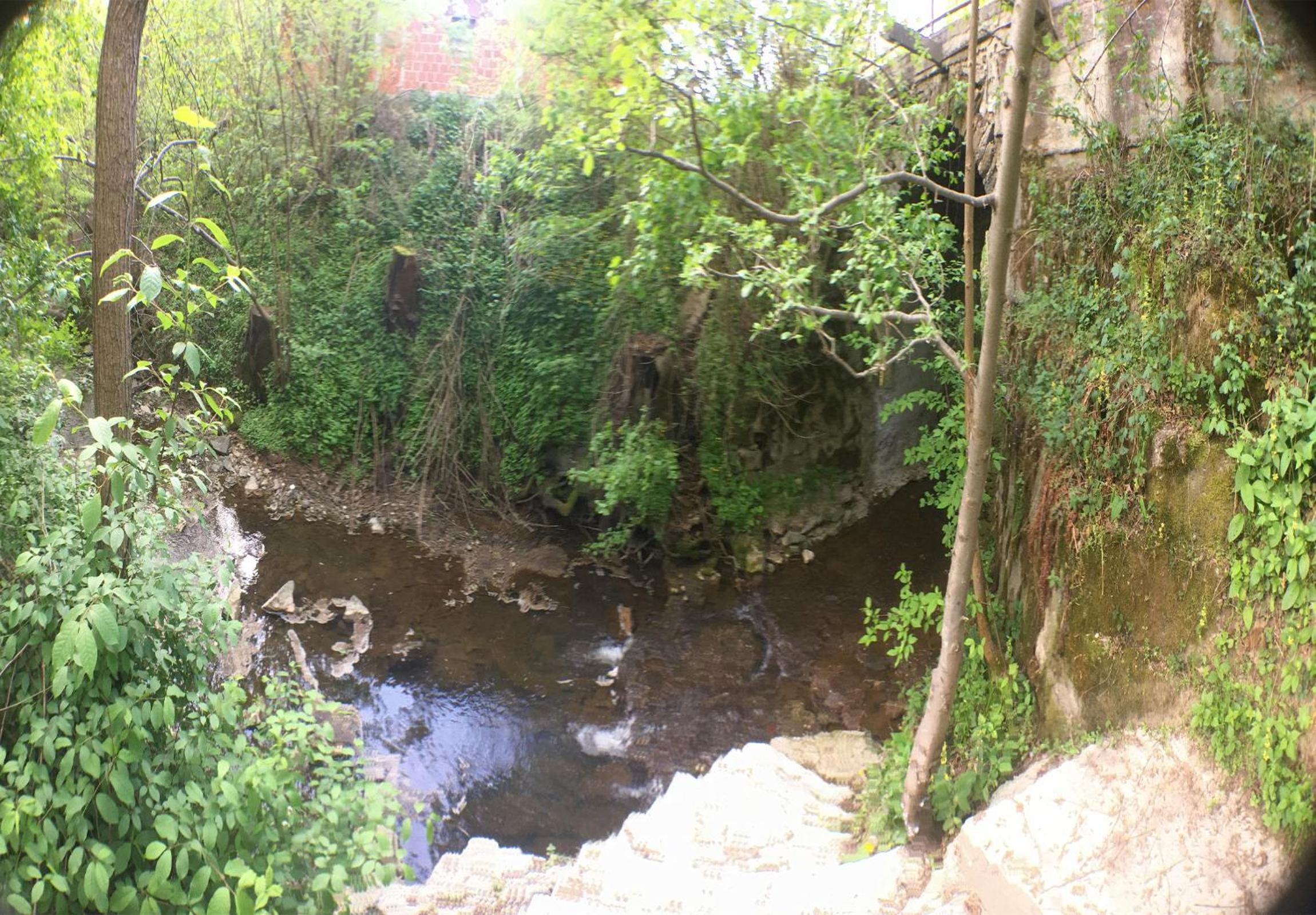Blazic I view 3