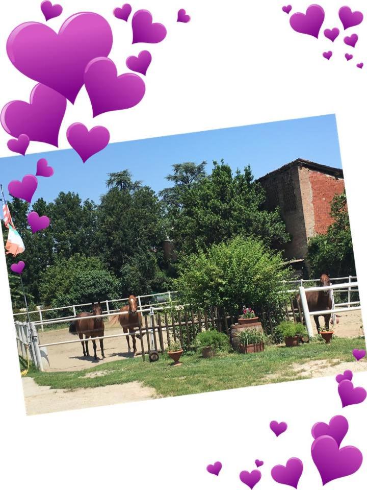 Felix House - Property Image 31