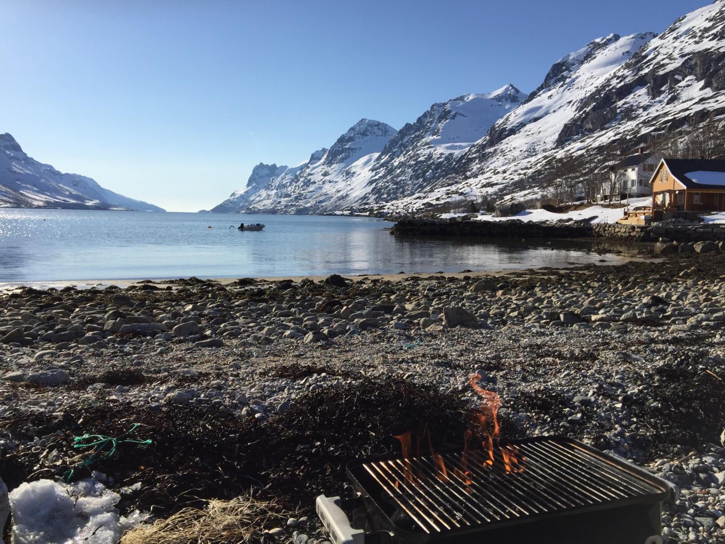 Ersfjord Villa Apt