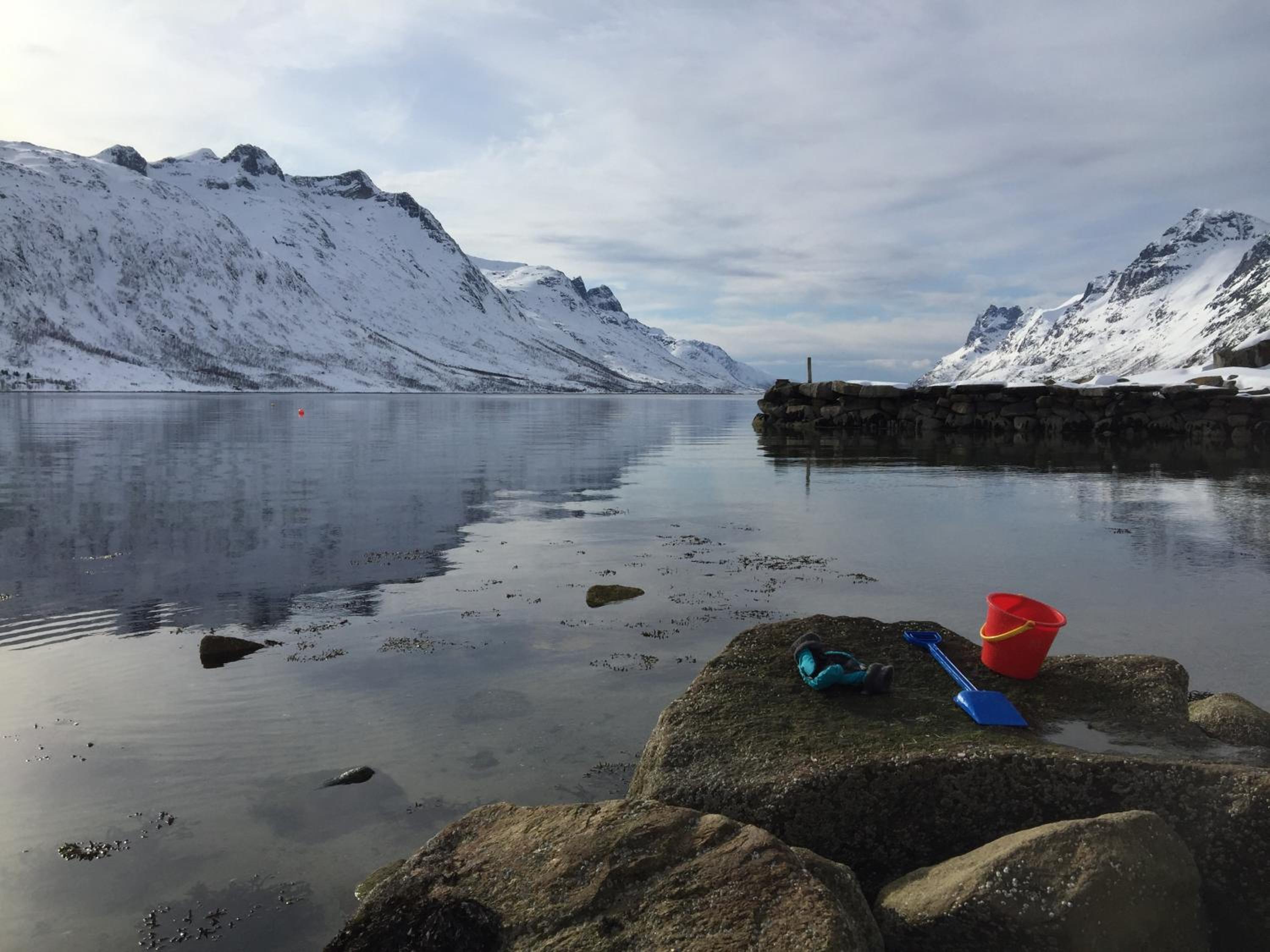 Ersfjord Villa Apt