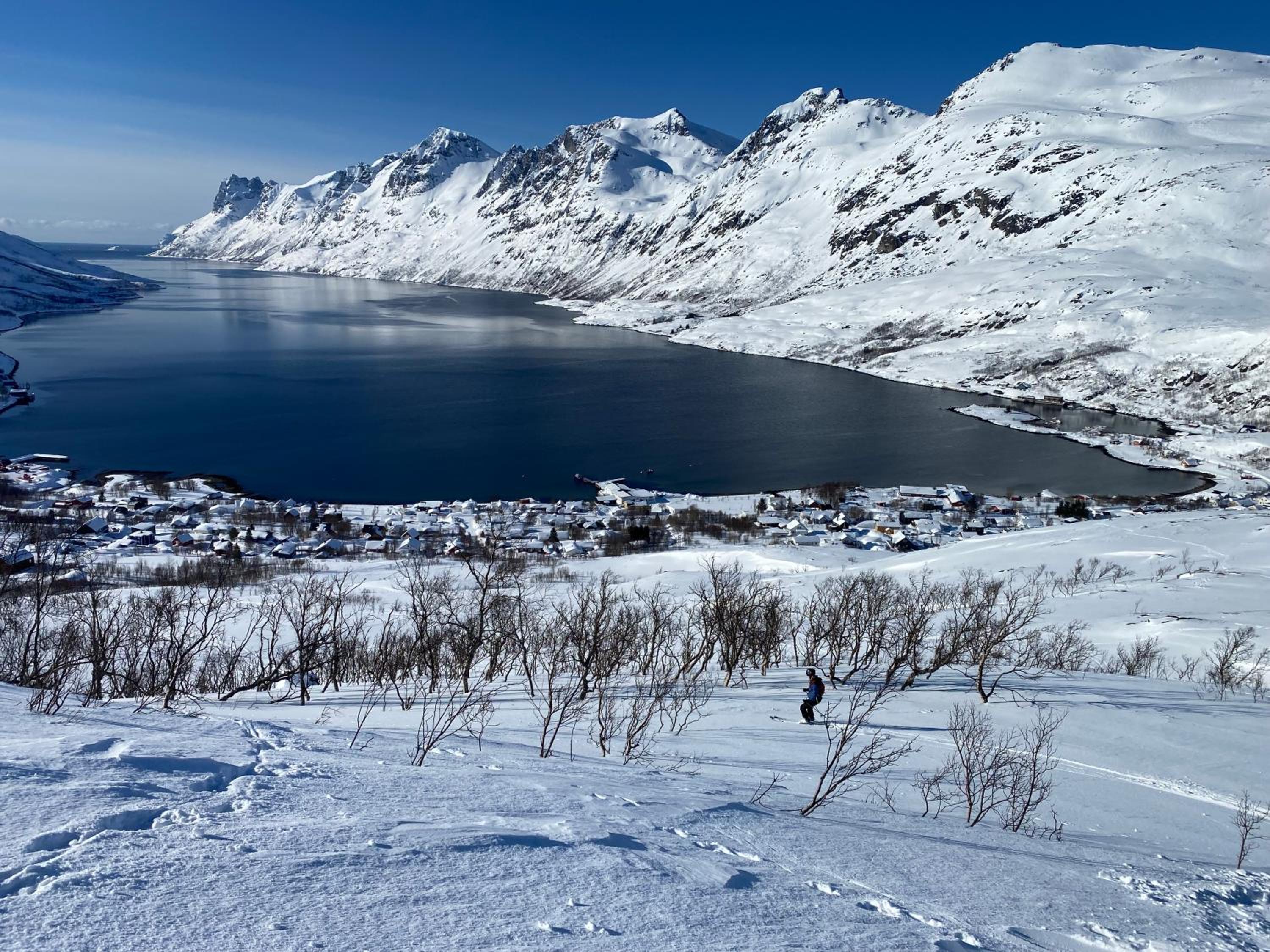 Ersfjord Villa Apt