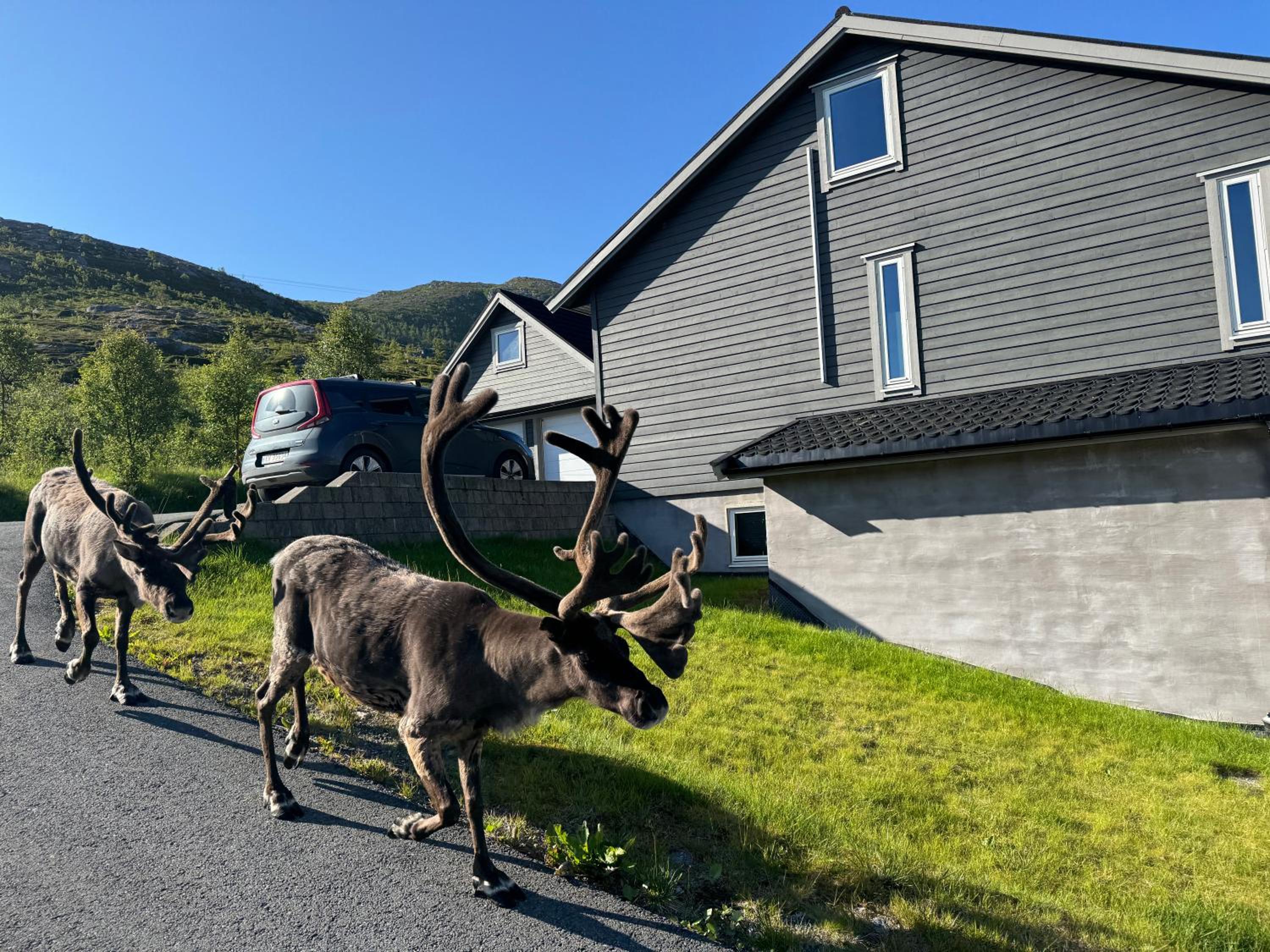Ersfjord Villa Apt
