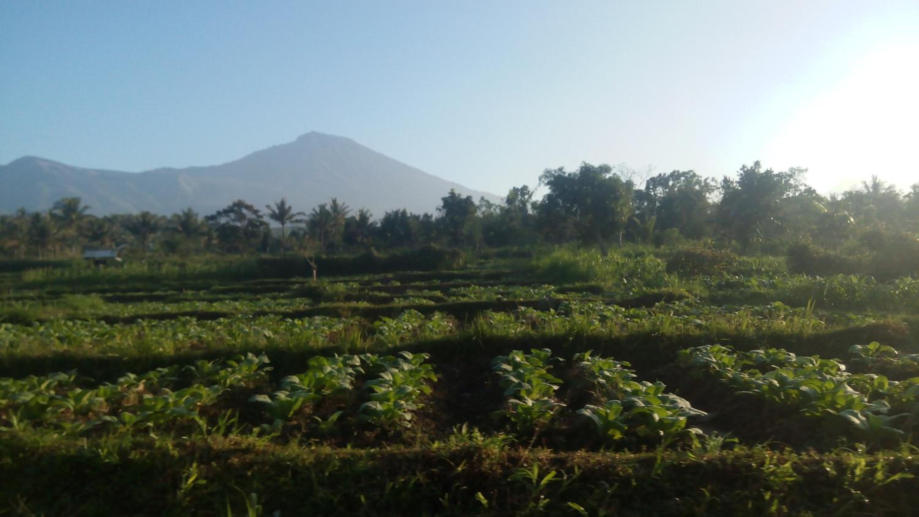 Tetebatu Indah Homestay