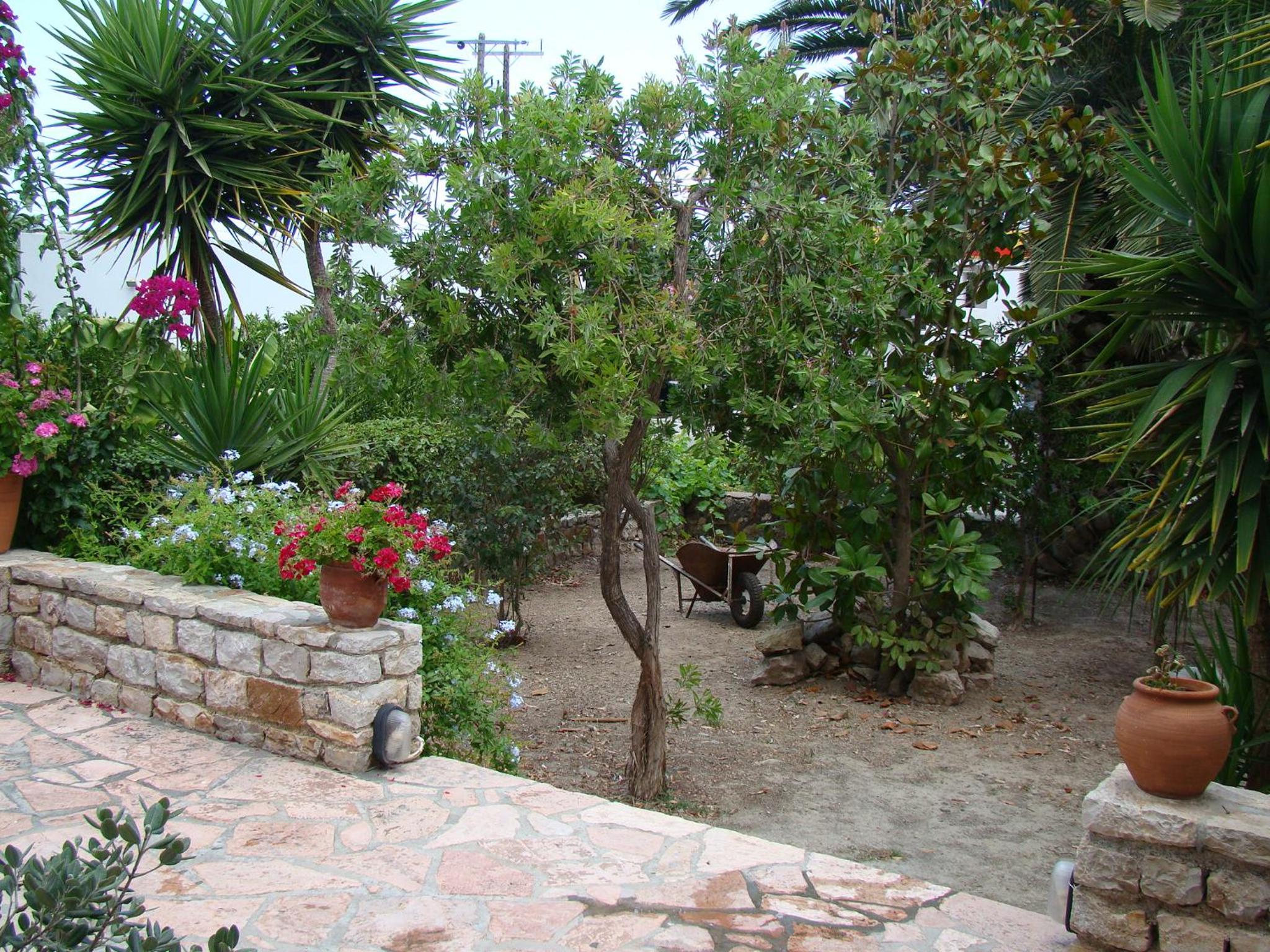 Chera 2 photo 4