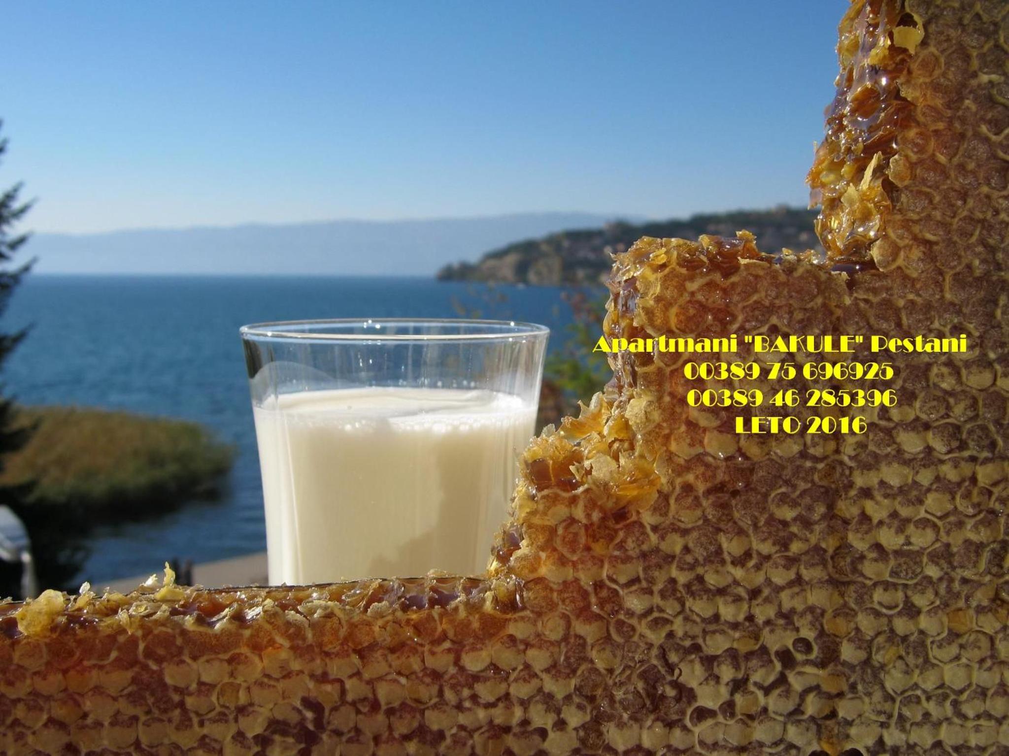 Photo 114