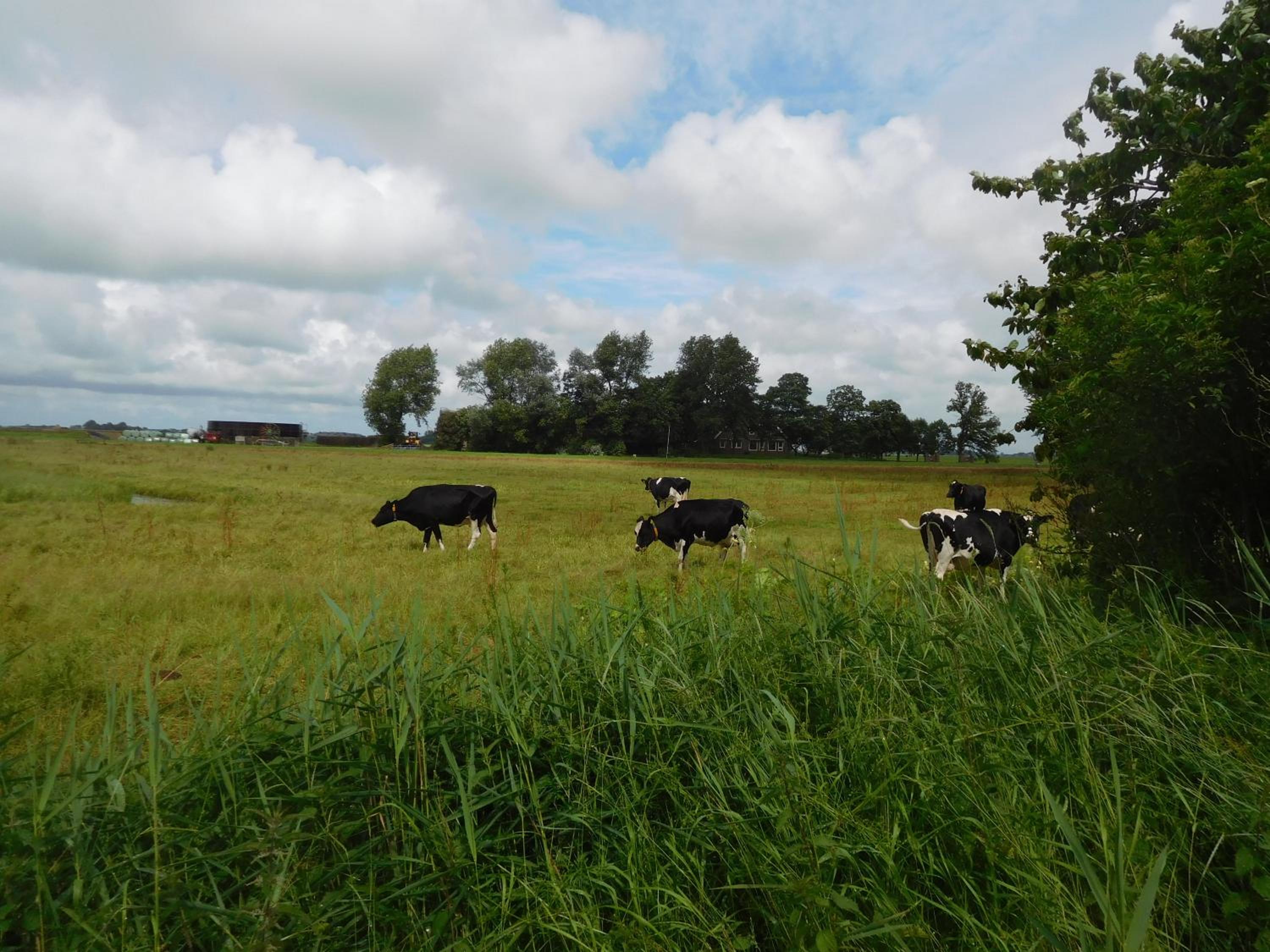 Logementen Jannum view 4