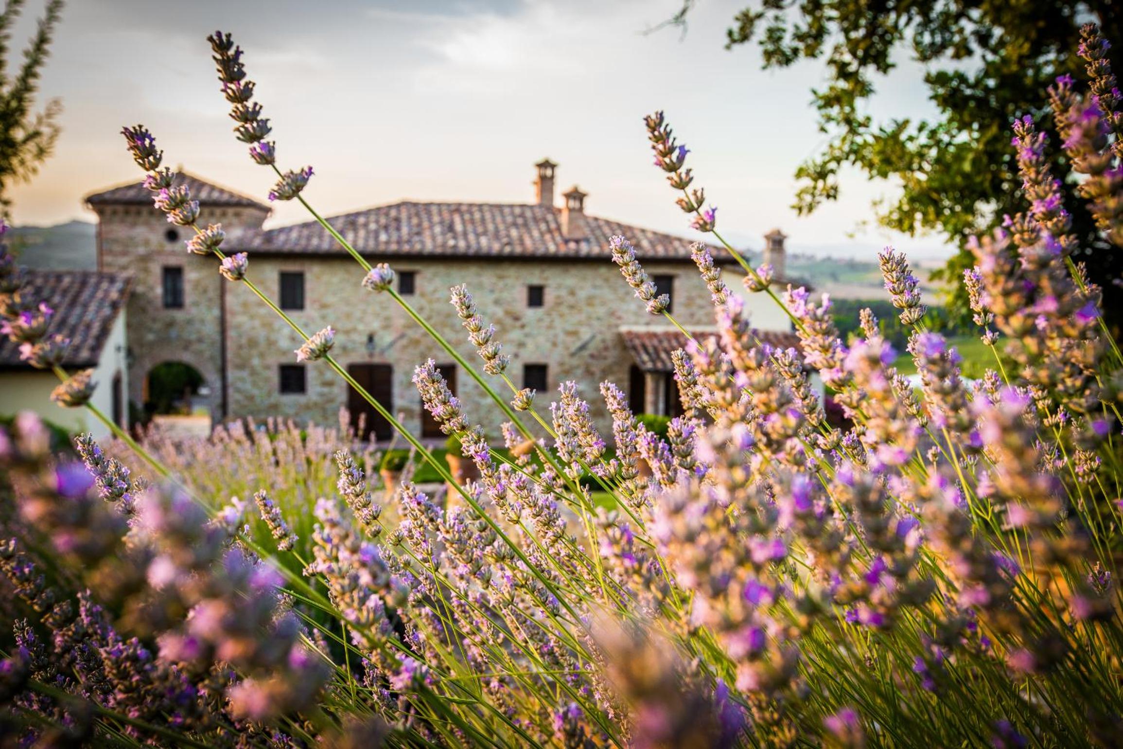 Torre Piantarosa