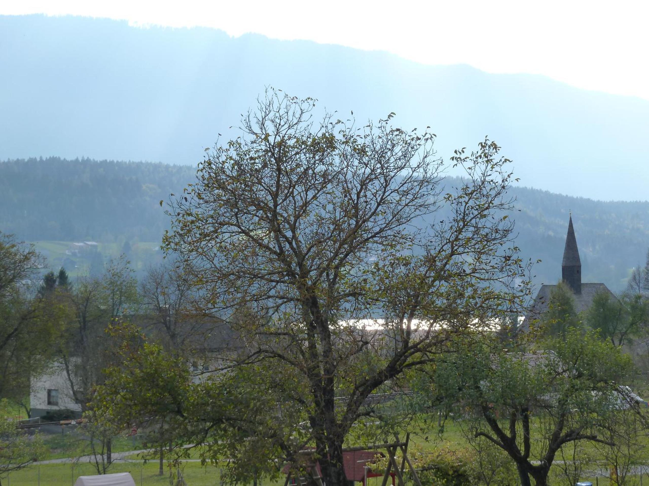 Tom's Hütte