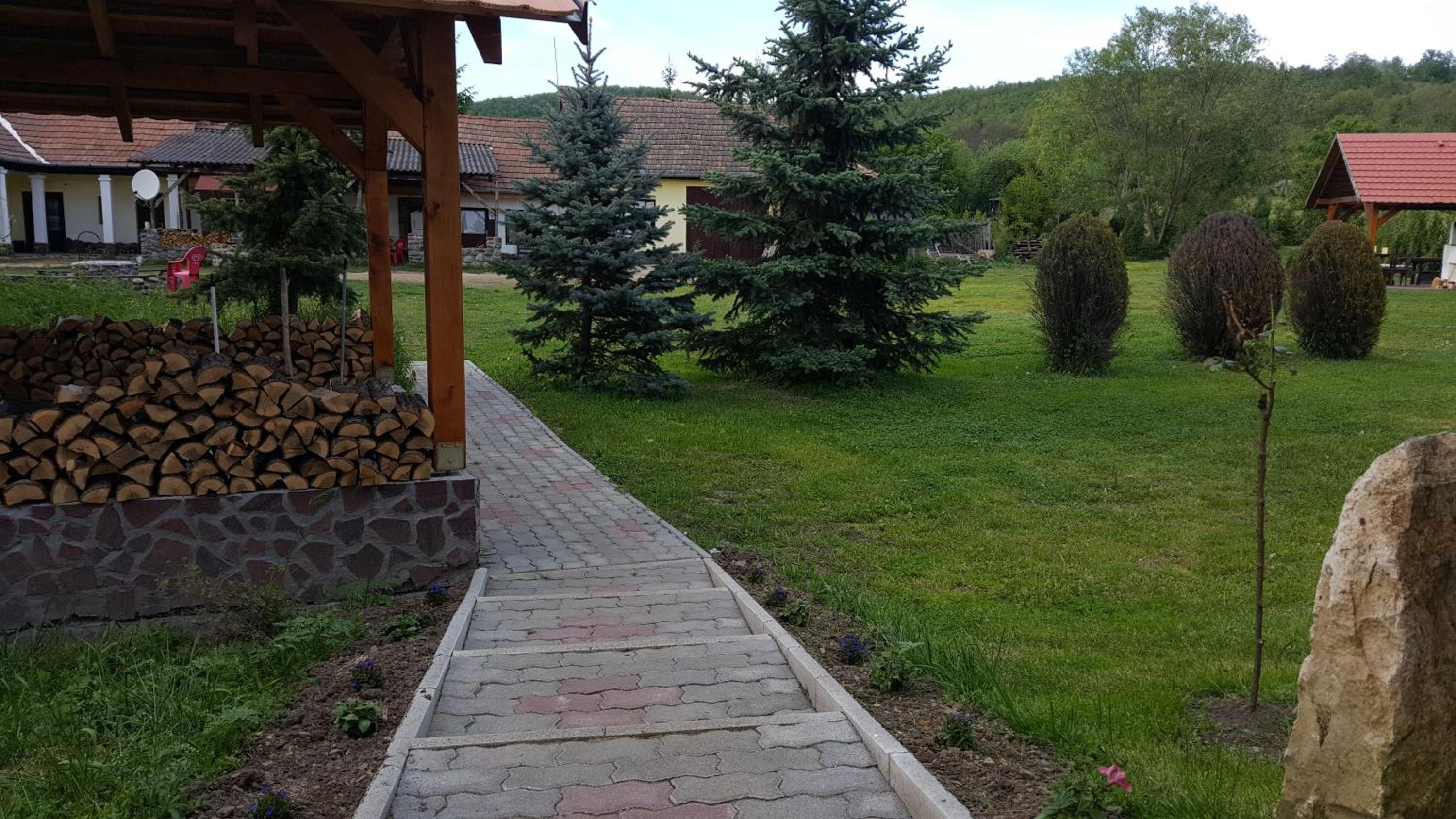 Photo 21