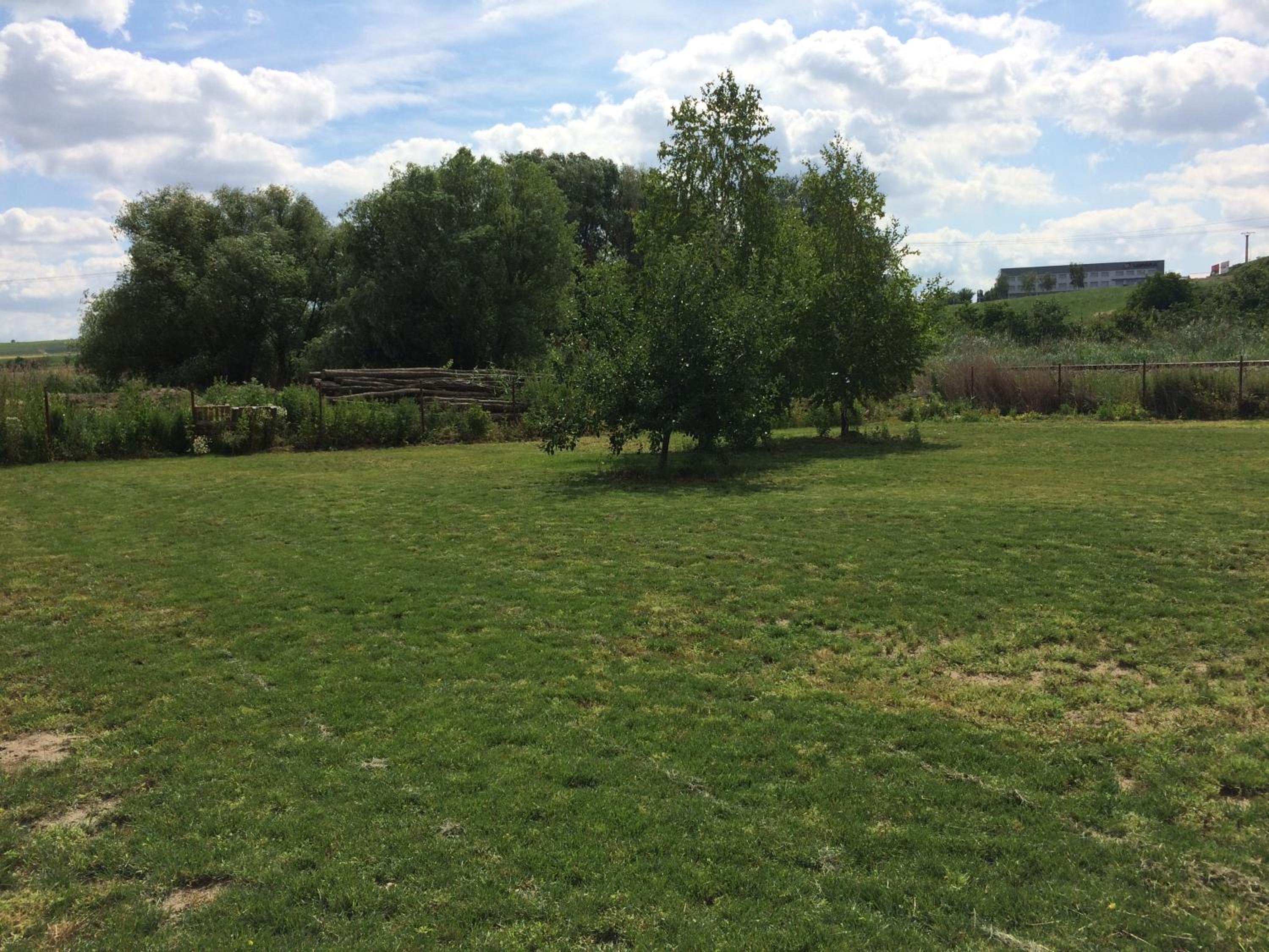 Photo 40