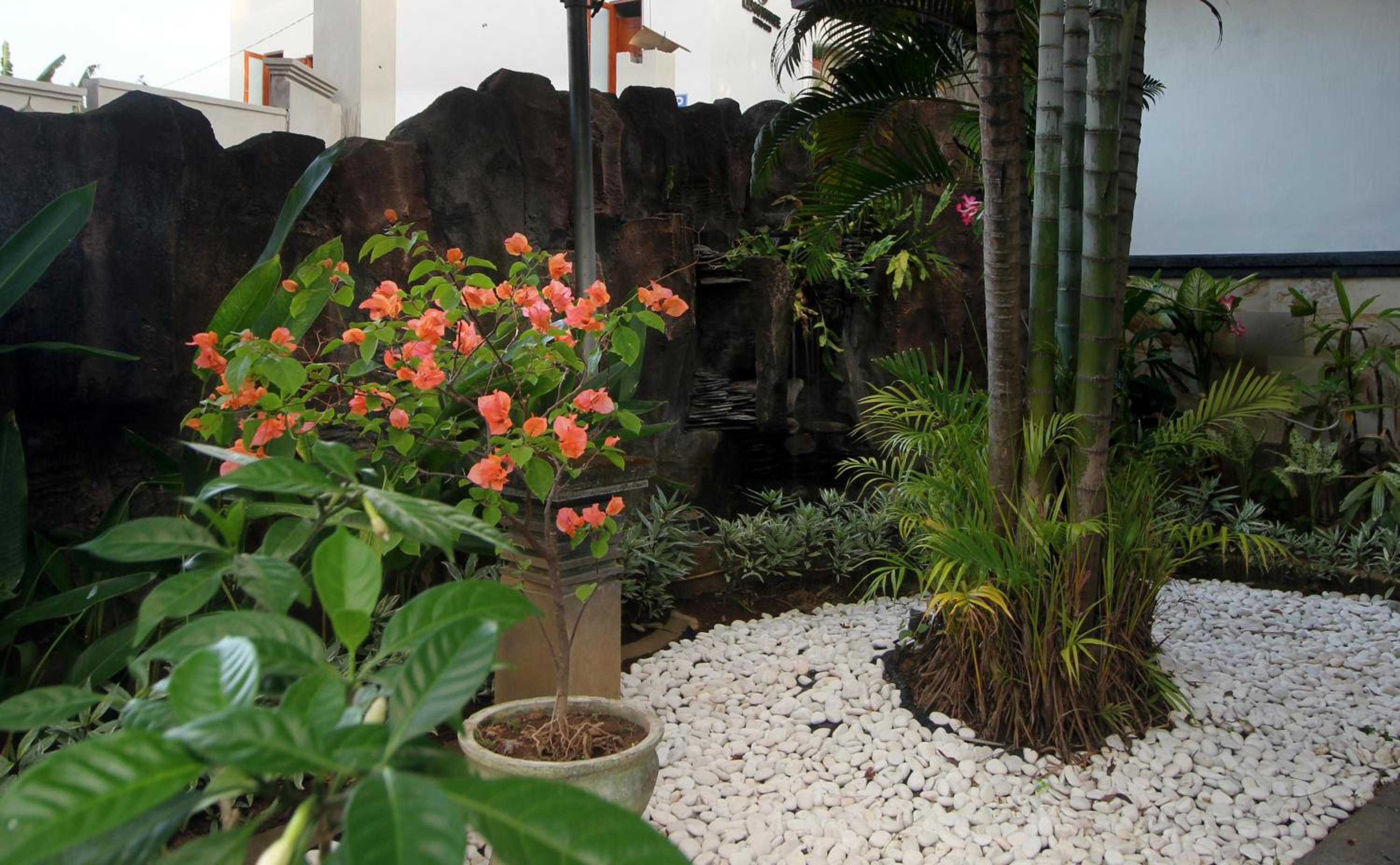 Dhanya Villa Lovina by Parigata