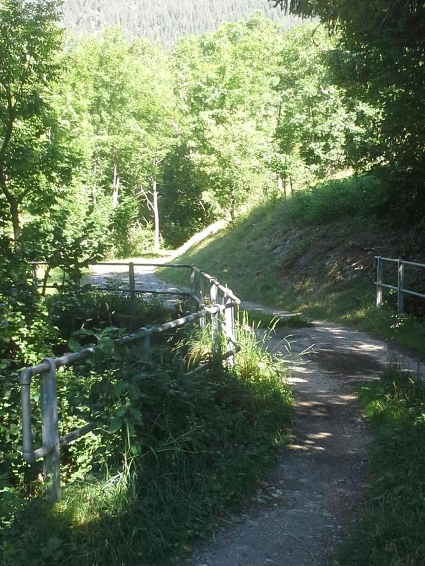 Photo 20