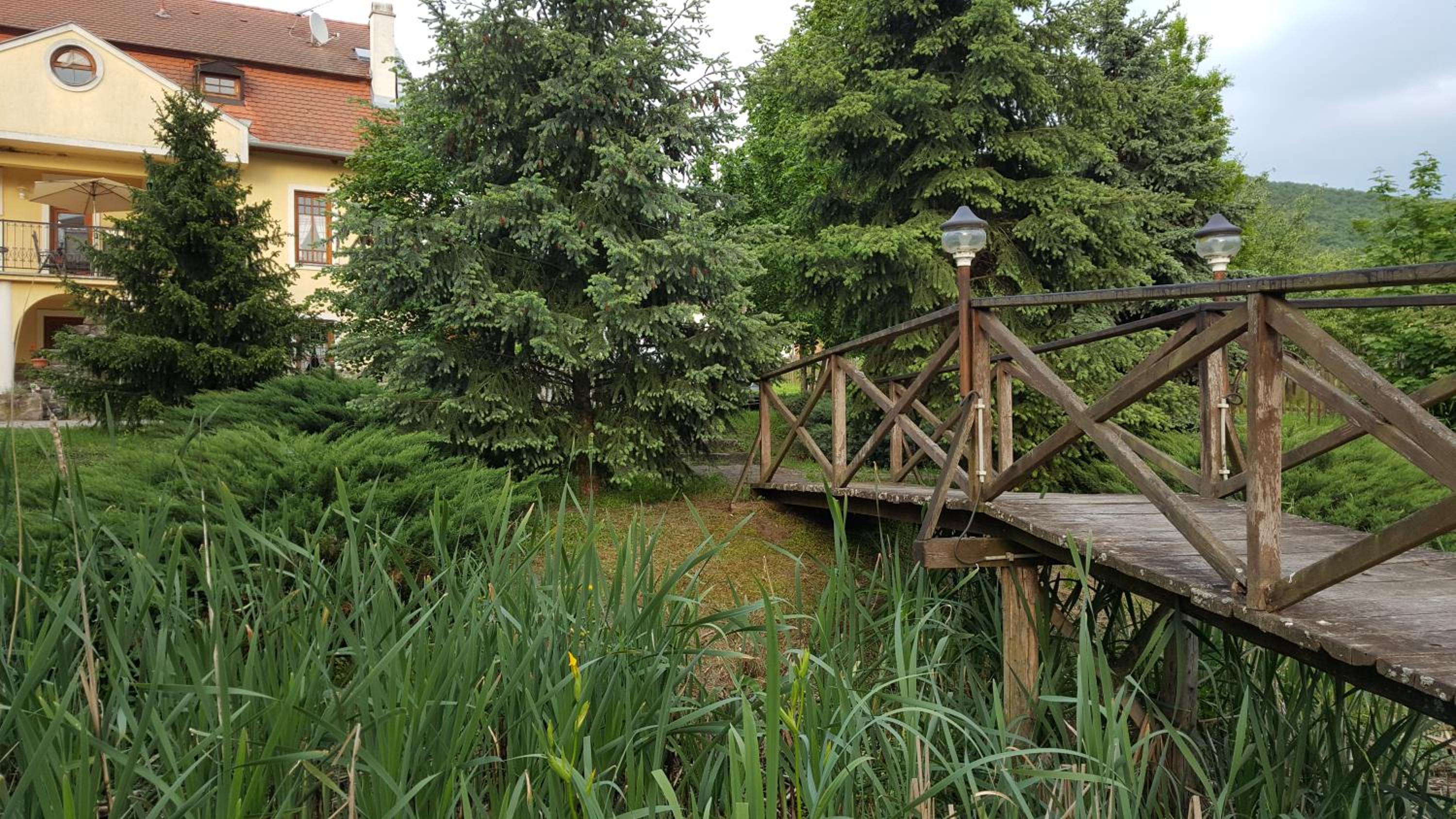 Photo 45