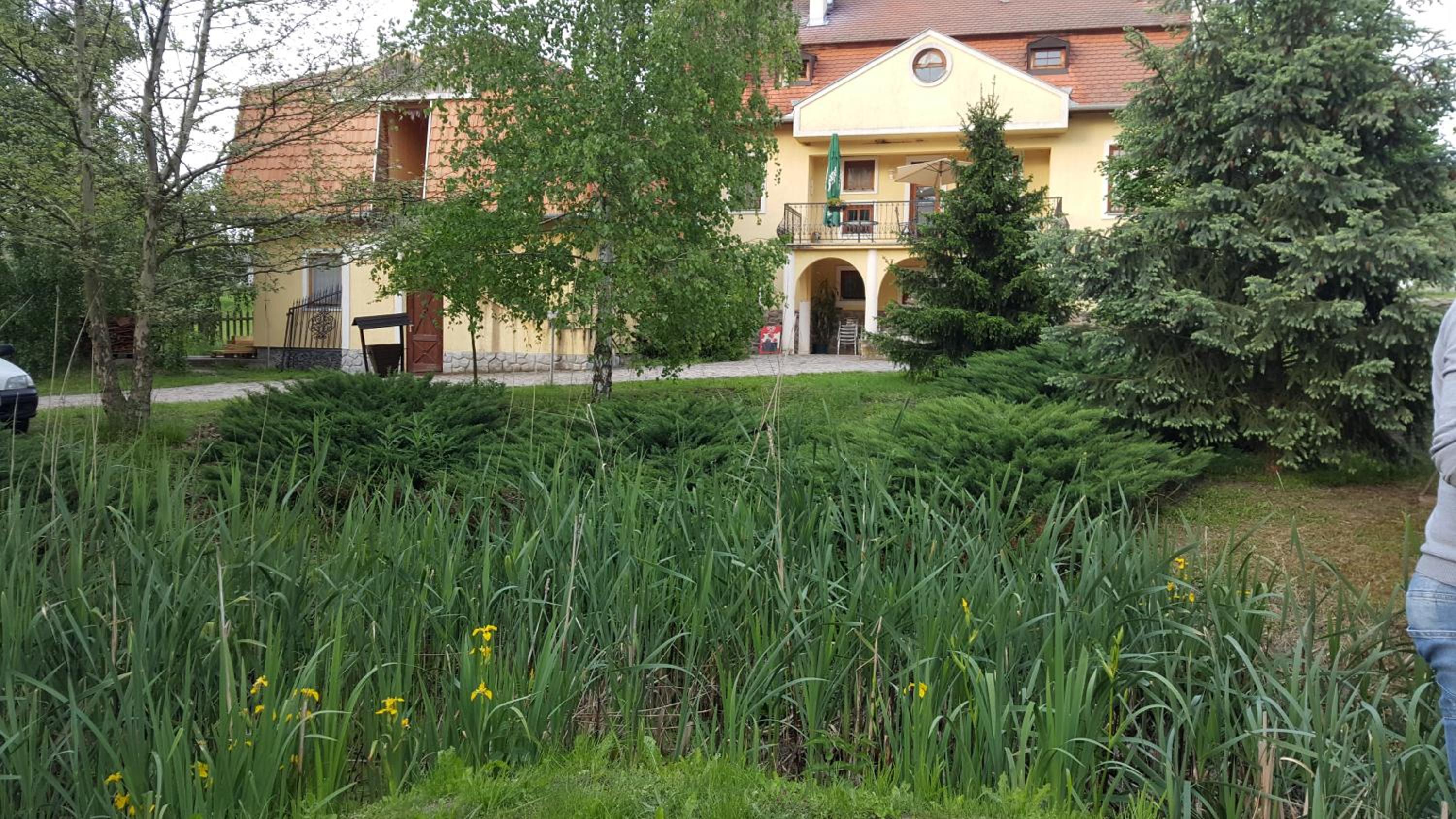 Photo 44