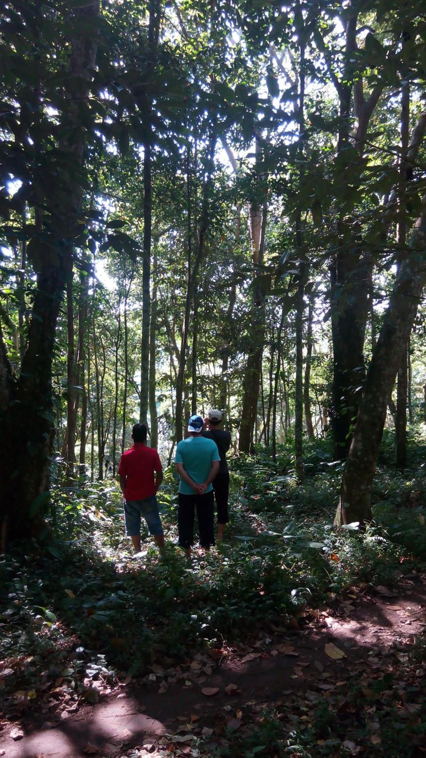 Tetebatu Indah Homestay