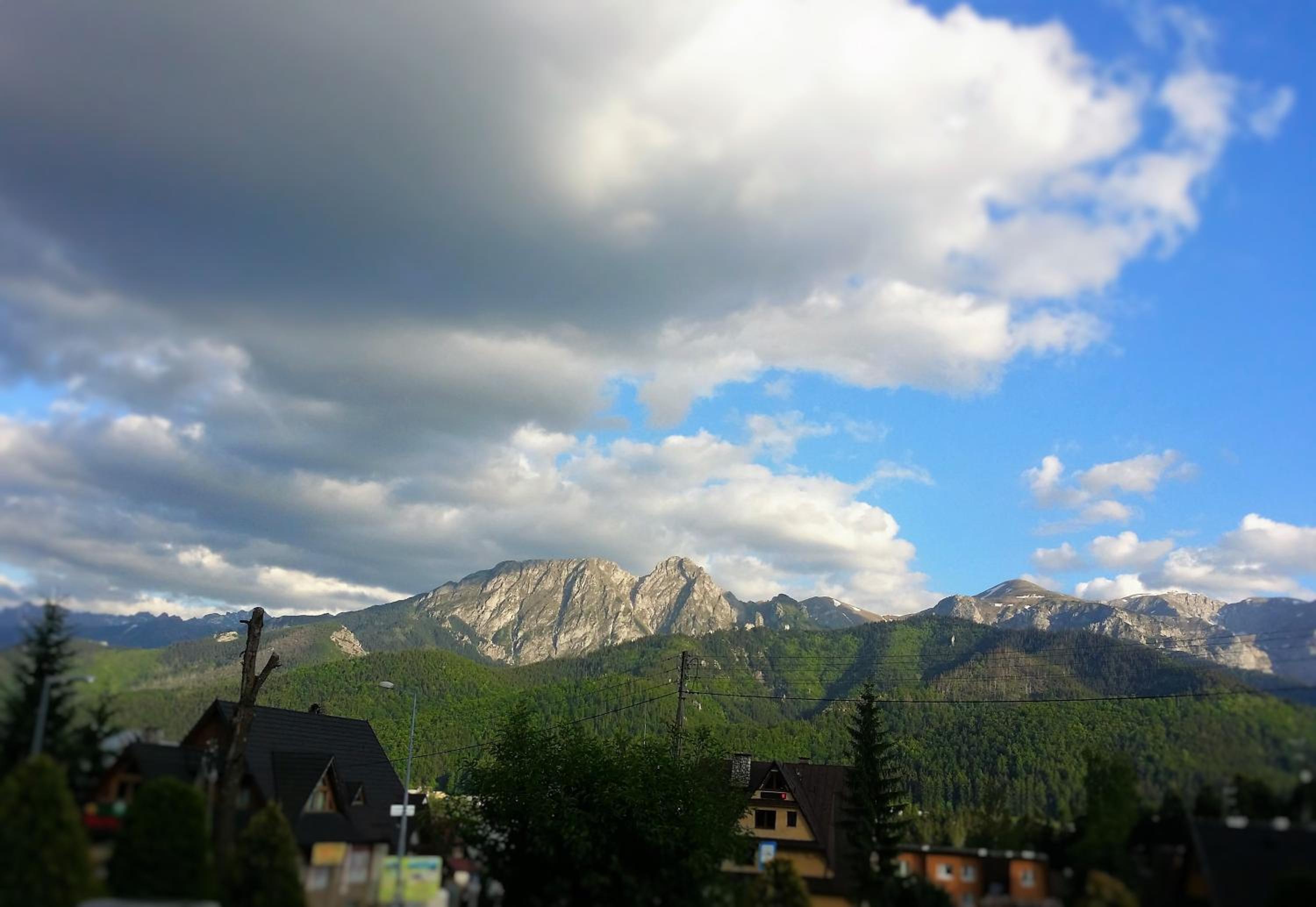 willa U Laskowych view 2
