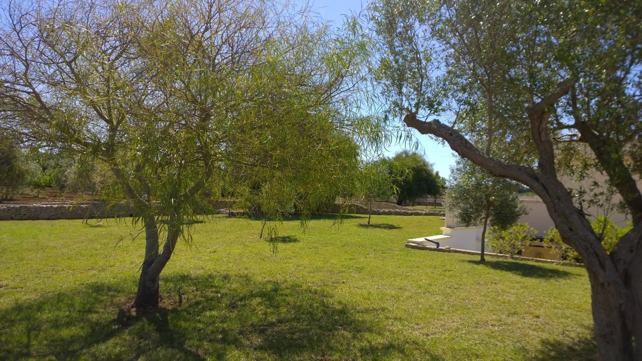 Donna Rosa B&B view 5