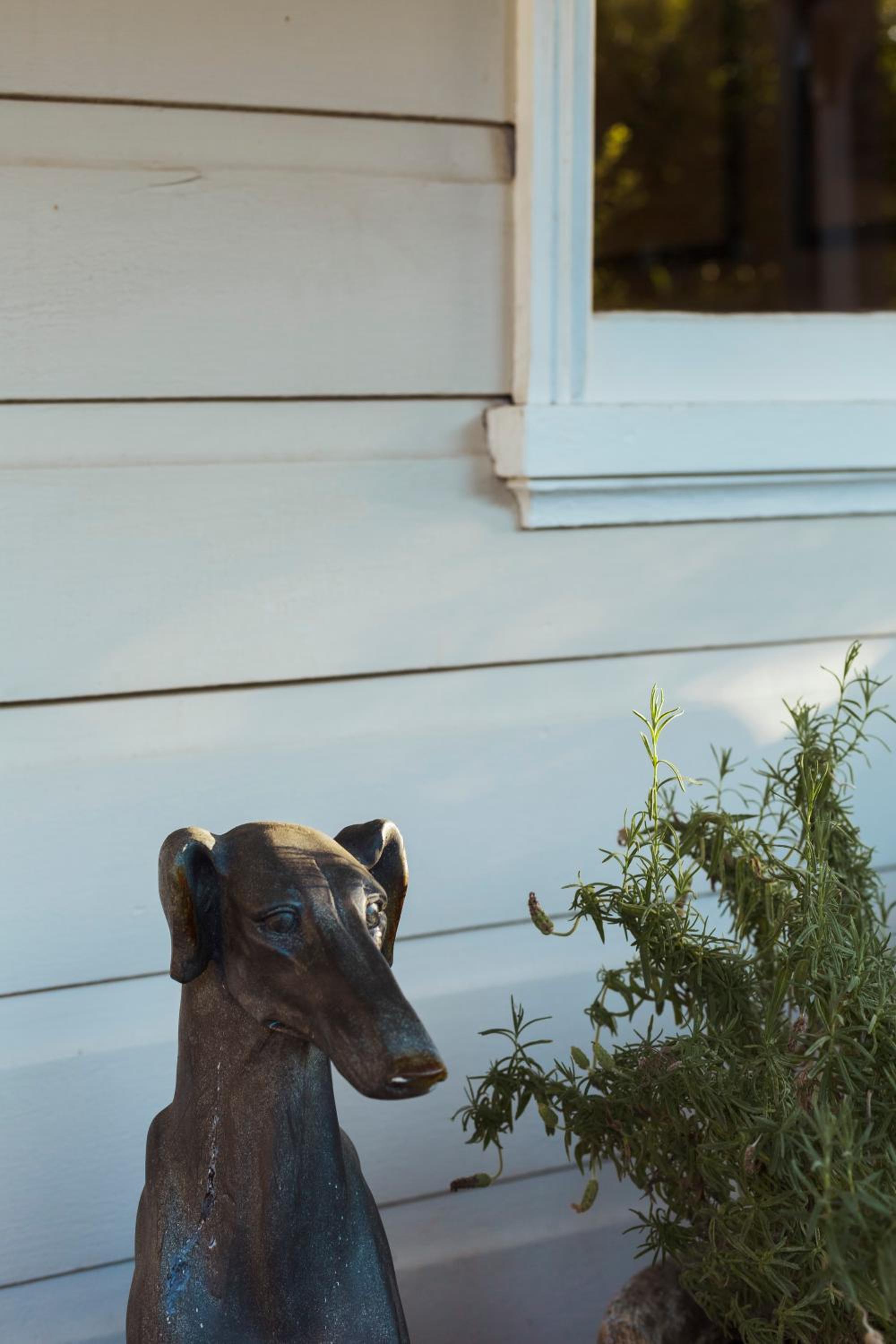 Illalangi Boutique Cottage
