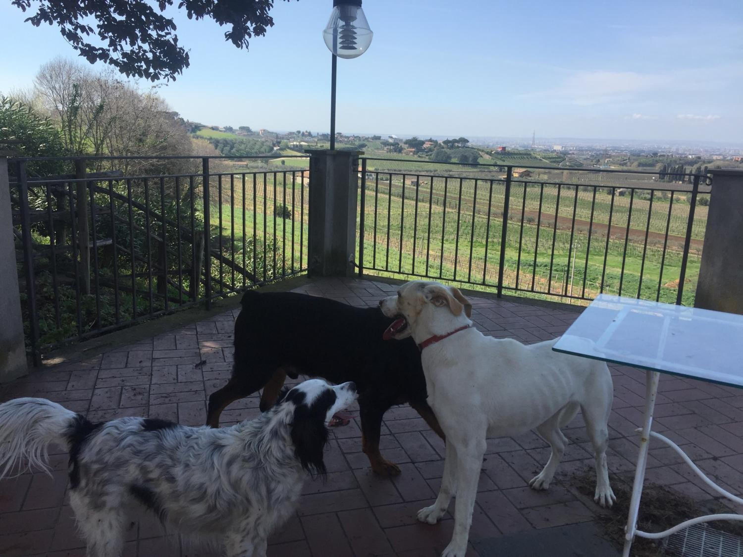 Merumalia Wine Resort